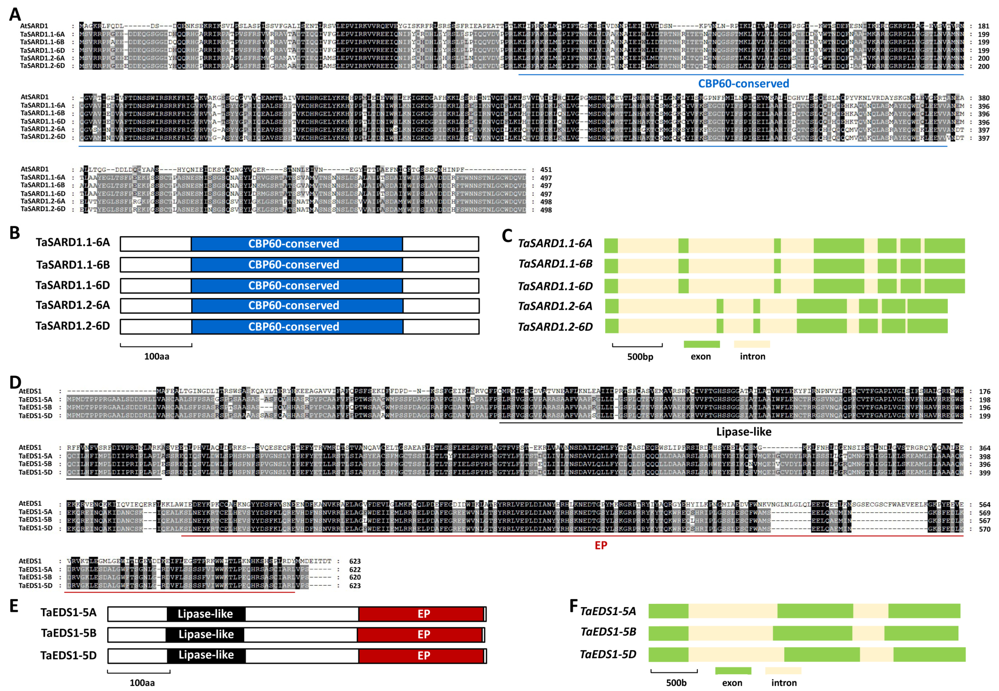 Ijms 24 10224 g003 Ijms 24 10224 g003