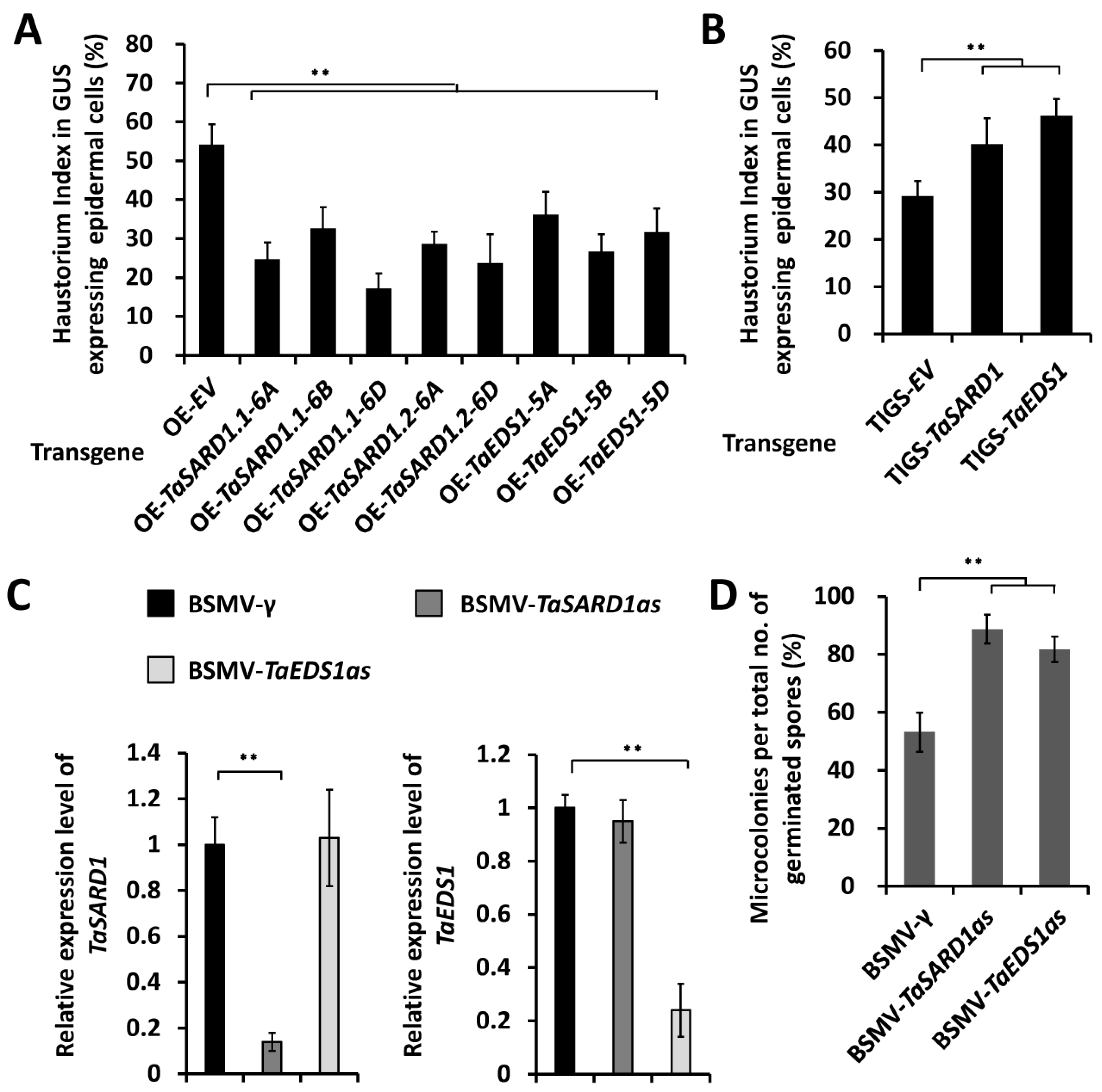 Ijms 24 10224 g004 Ijms 24 10224 g004