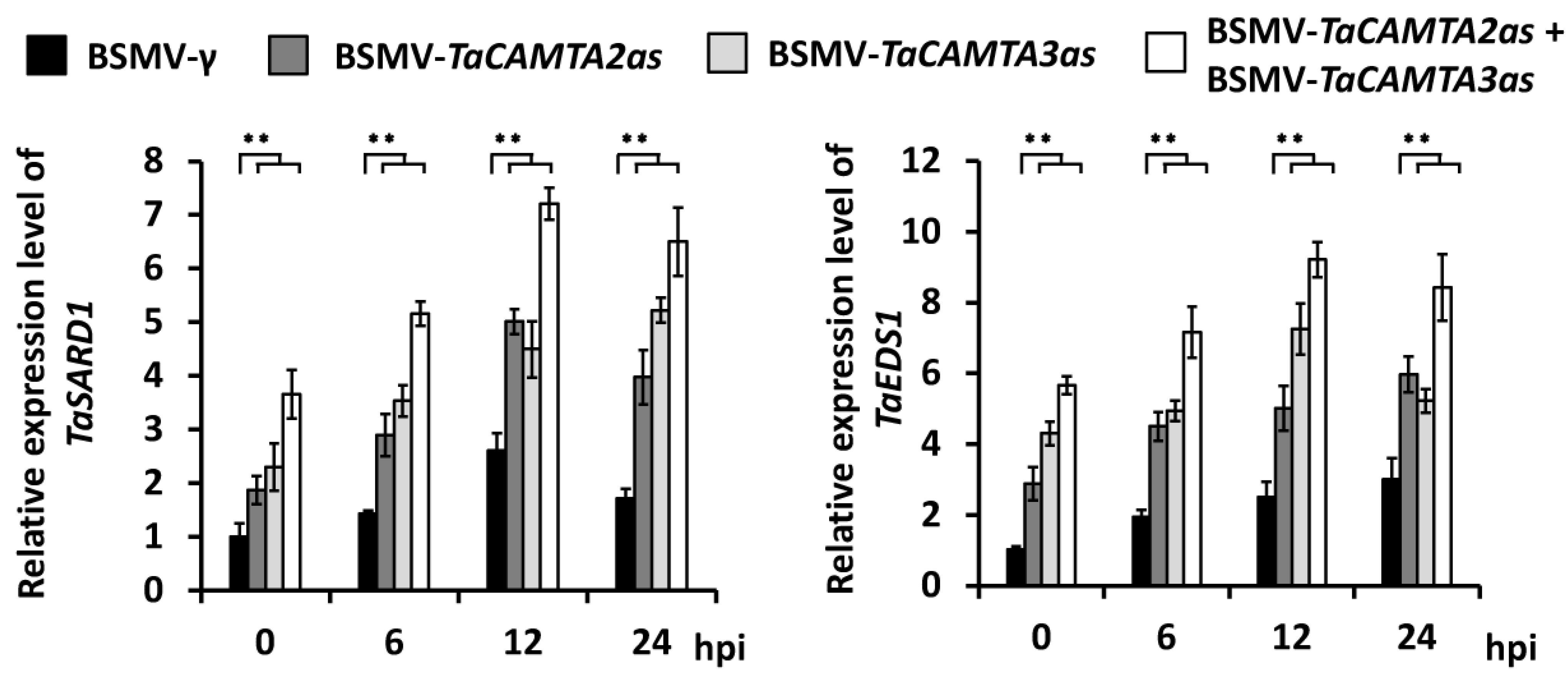 Ijms 24 10224 g005 Ijms 24 10224 g005