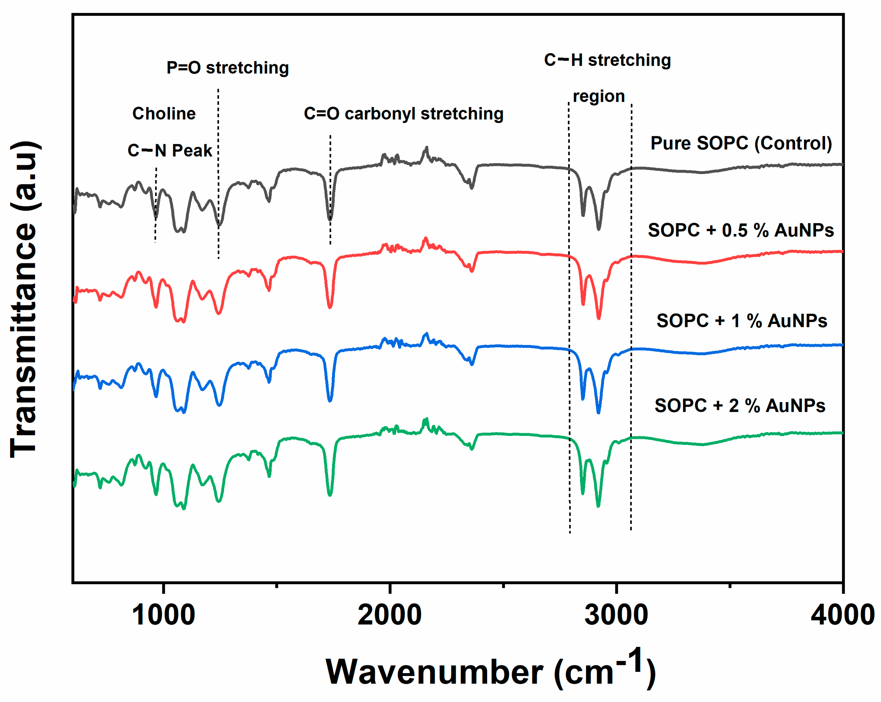 Ijms 24 10226 g004 Ijms 24 10226 g004
