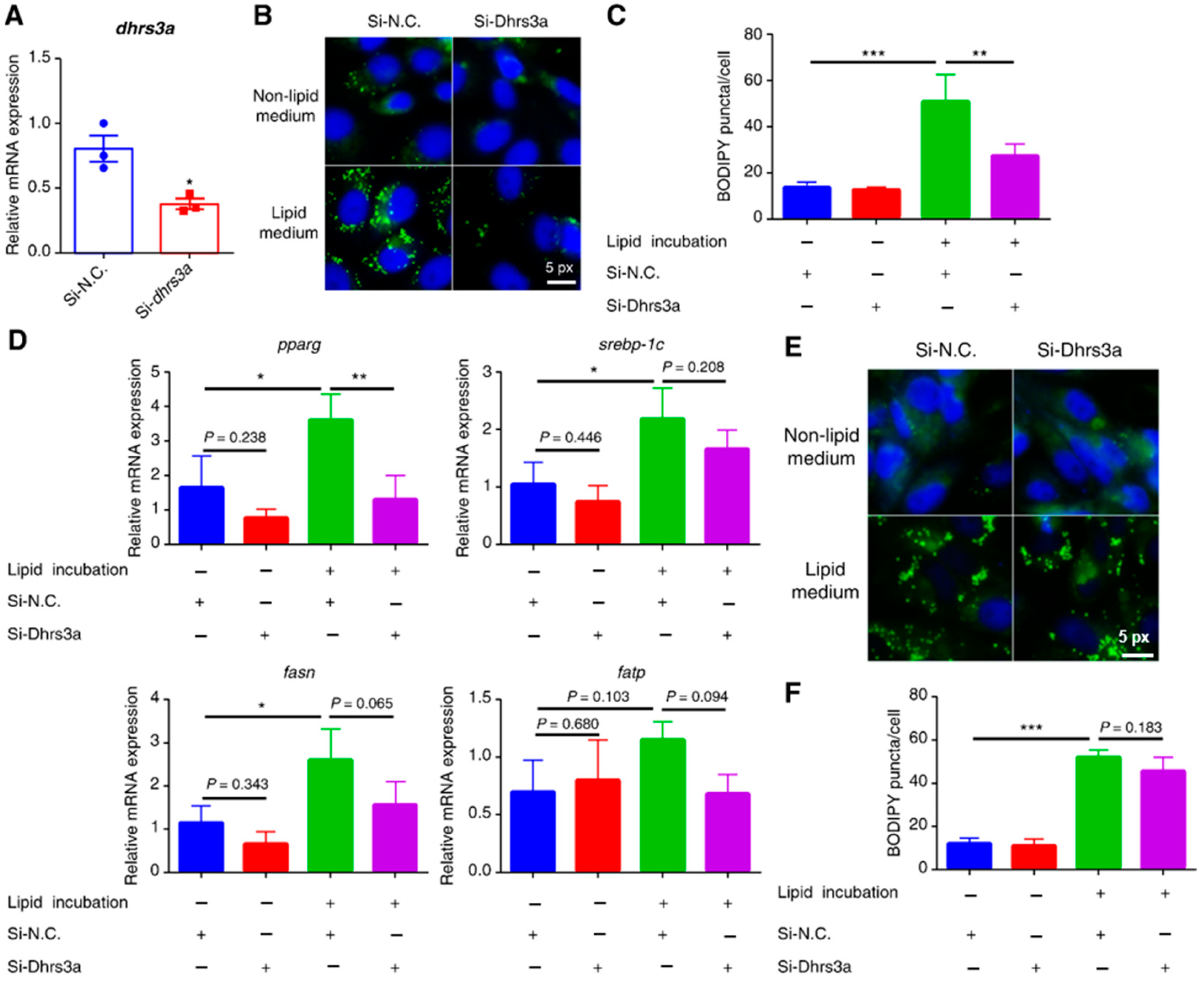 Ijms 24 10236 g002 Ijms 24 10236 g002