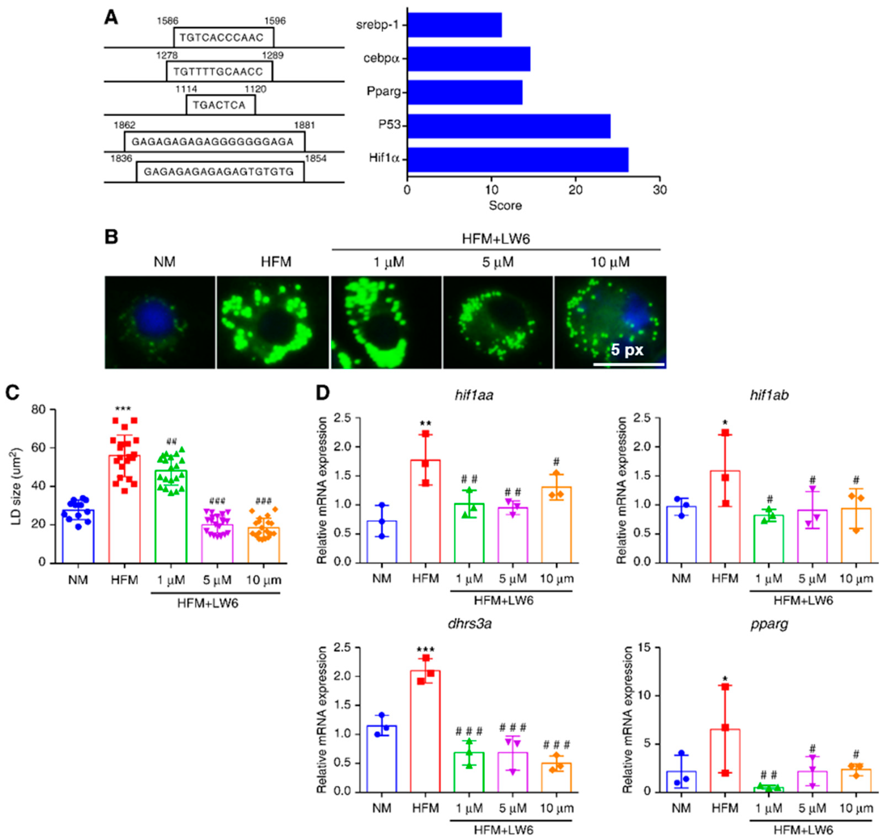 Ijms 24 10236 g005 Ijms 24 10236 g005