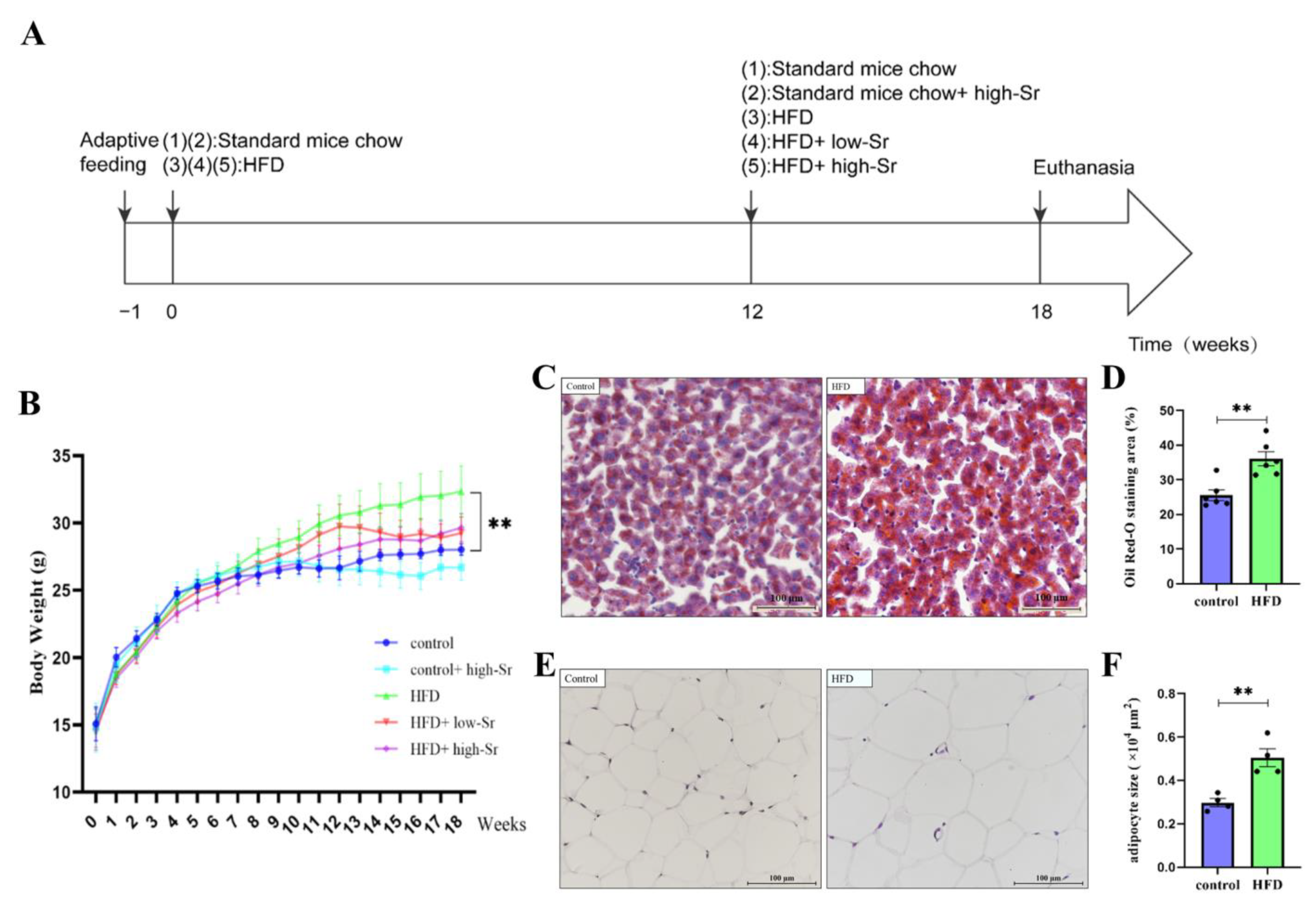 Ijms 24 10248 g001 Ijms 24 10248 g001