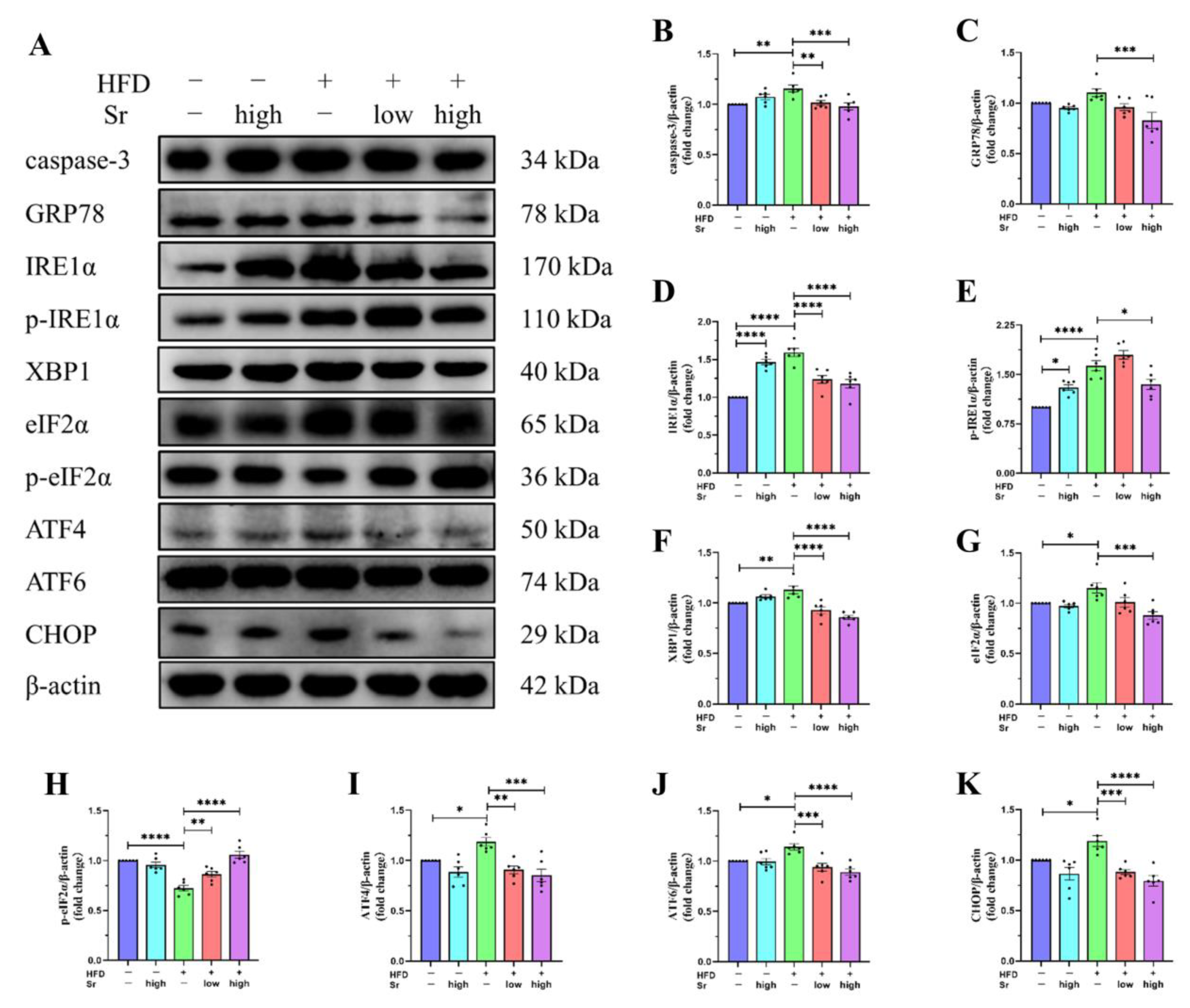 Ijms 24 10248 g003 Ijms 24 10248 g003