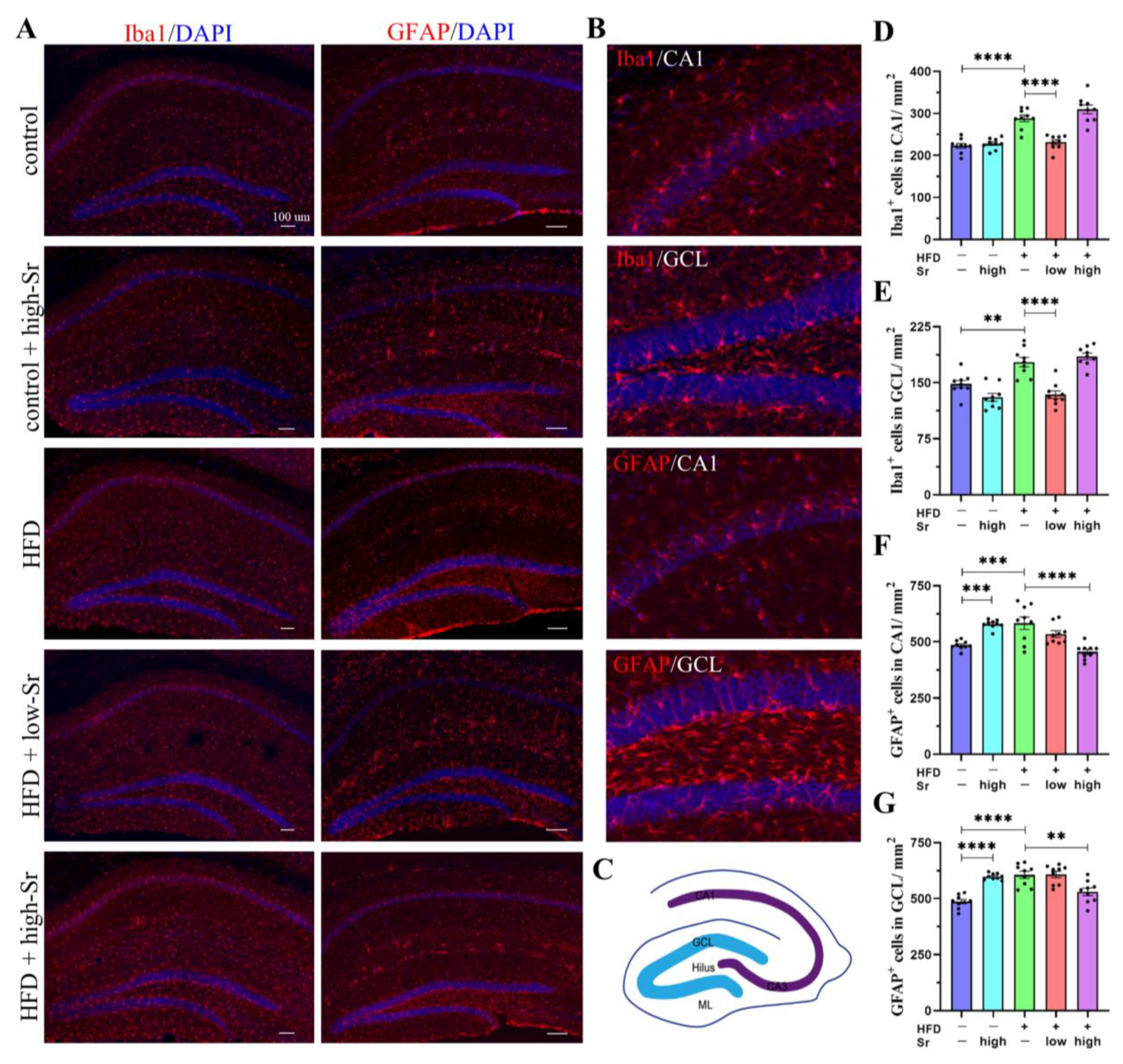 Ijms 24 10248 g005 Ijms 24 10248 g005