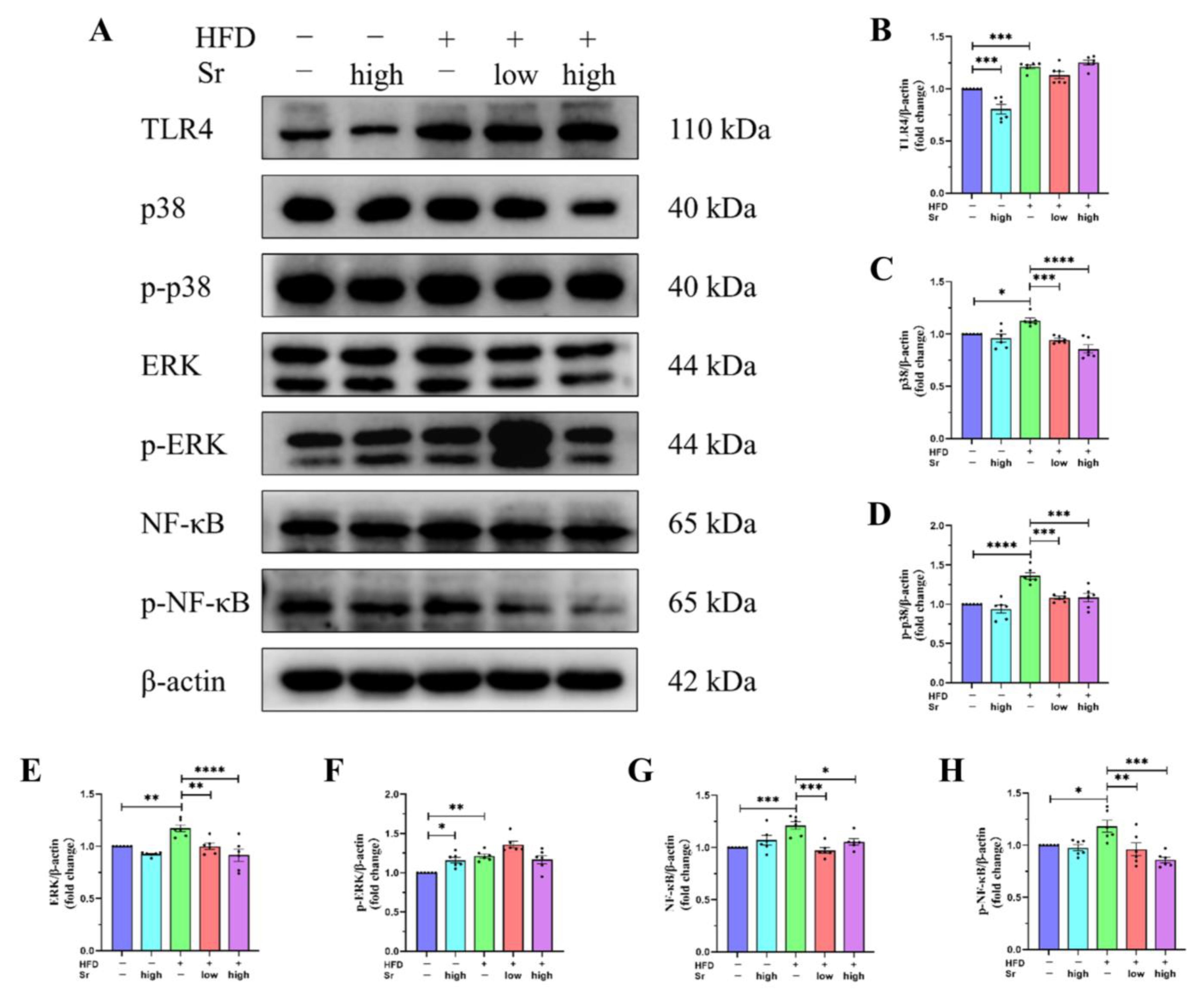 Ijms 24 10248 g006 Ijms 24 10248 g006