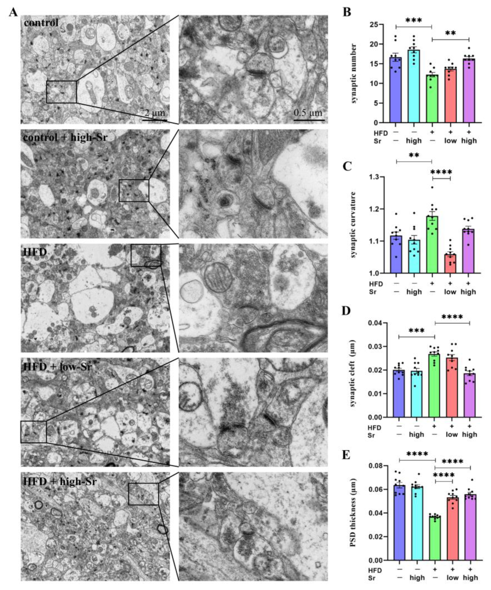 Ijms 24 10248 g007 Ijms 24 10248 g007