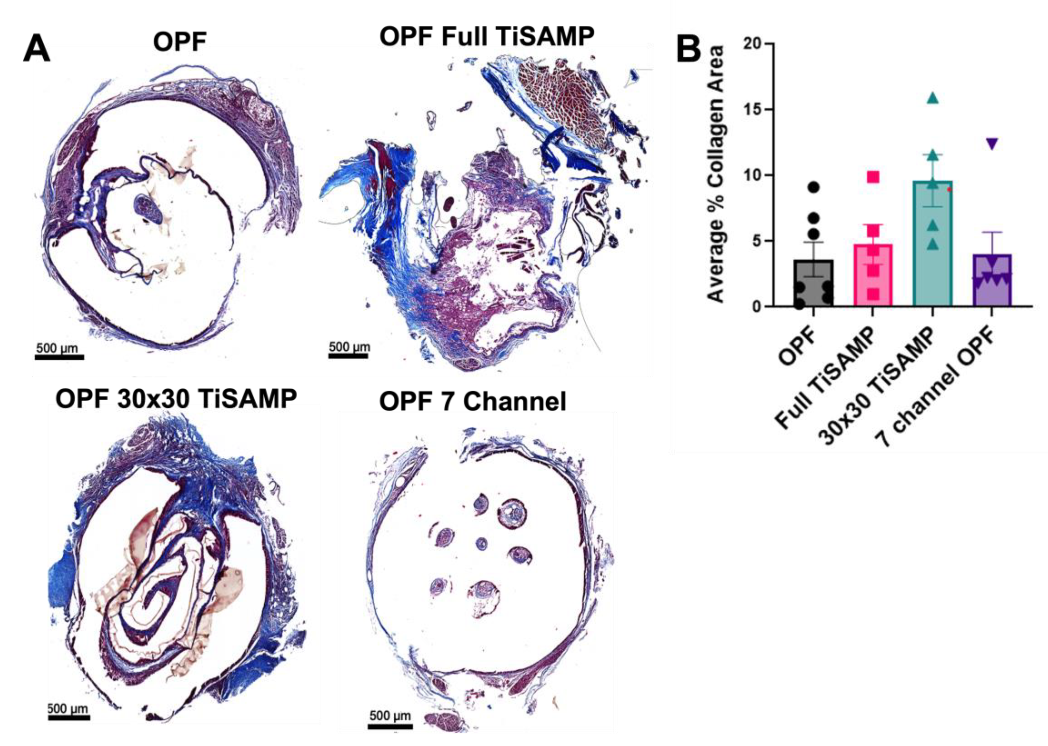 Ijms 24 10250 g010 Ijms 24 10250 g010