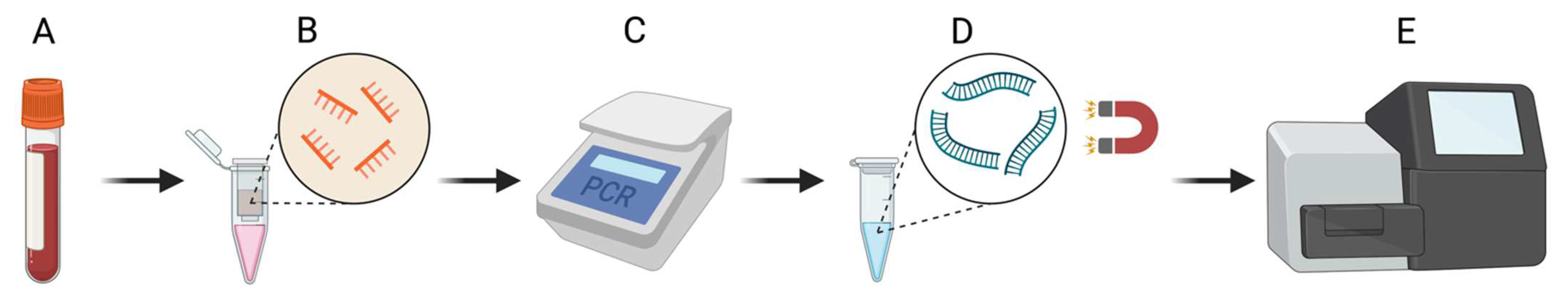 Ijms 24 10251 g007 Ijms 24 10251 g007