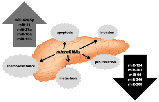 The Link between Diabetes, Pancreatic Tumors, and miRNAs—New