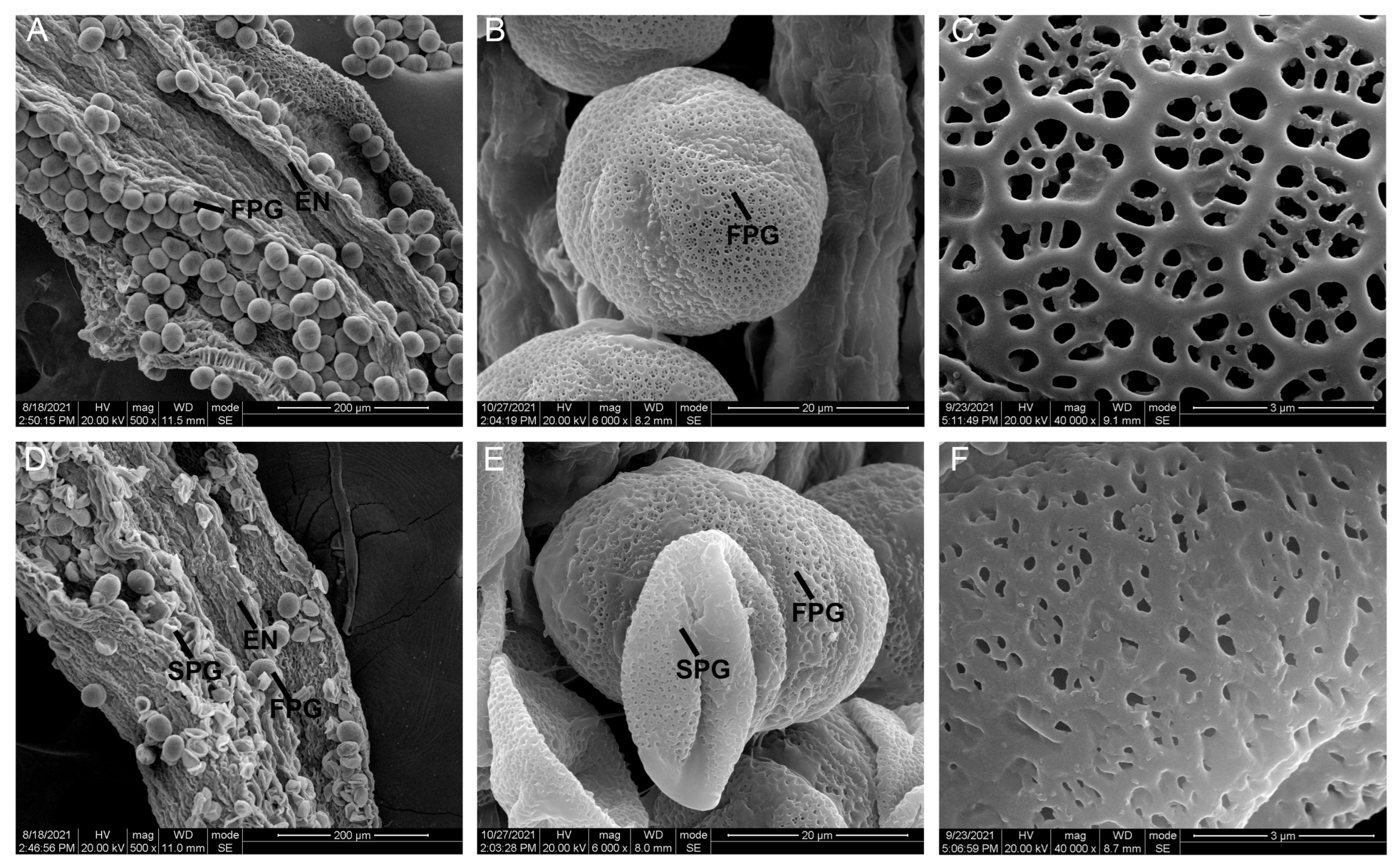 Ijms 24 10259 g002 Ijms 24 10259 g002