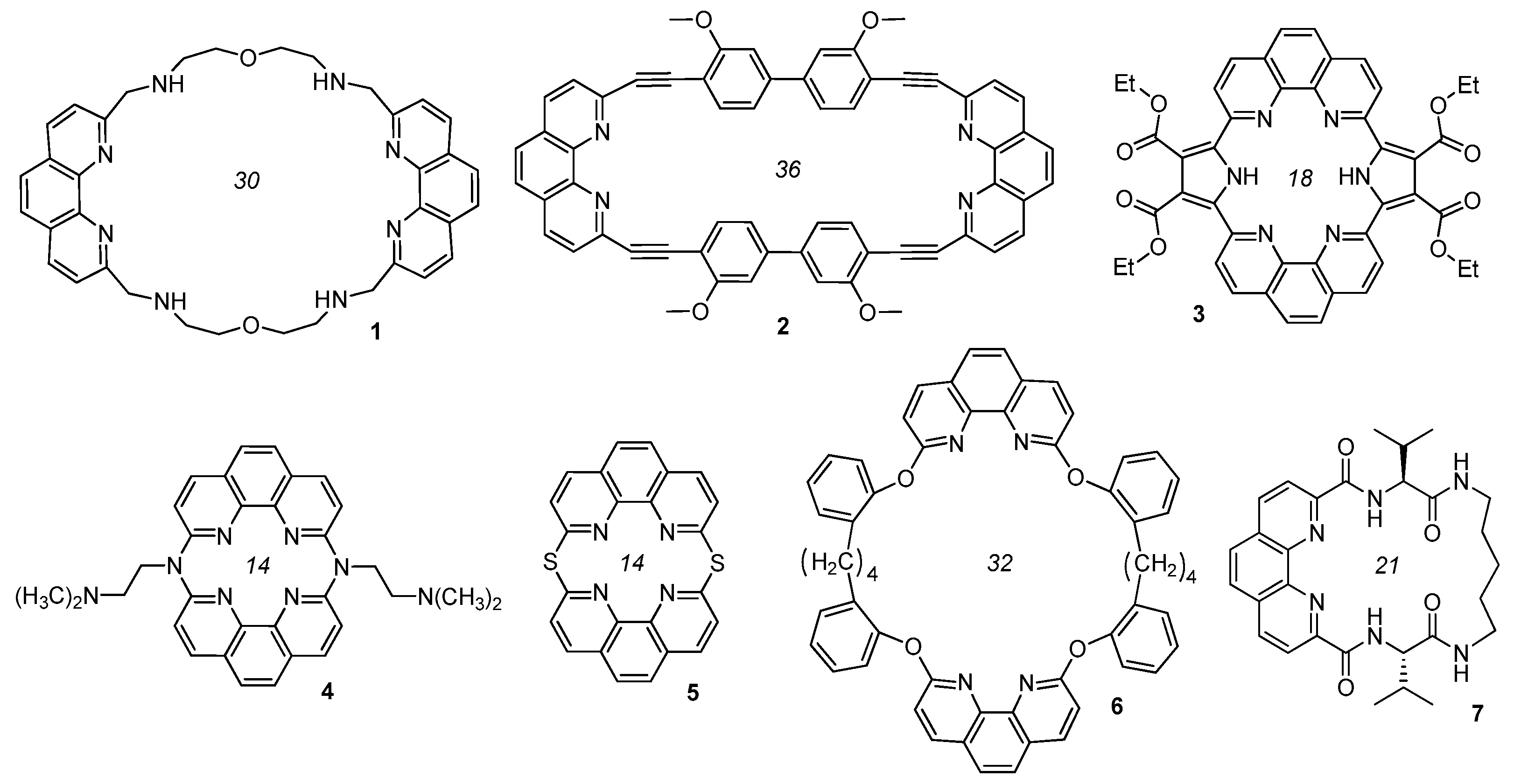 Ijms 24 10261 g001 Ijms 24 10261 g001