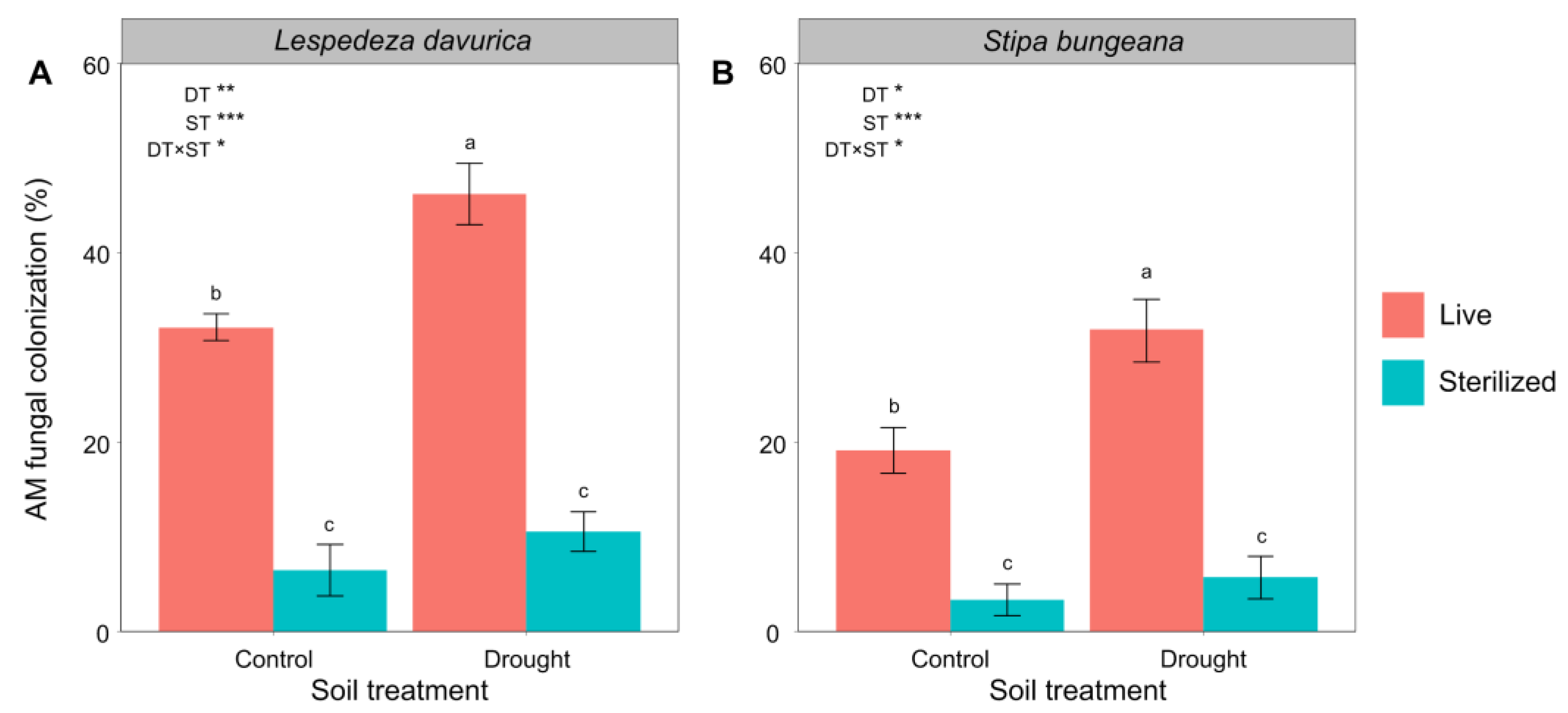 Ijms 24 10262 g004 Ijms 24 10262 g004
