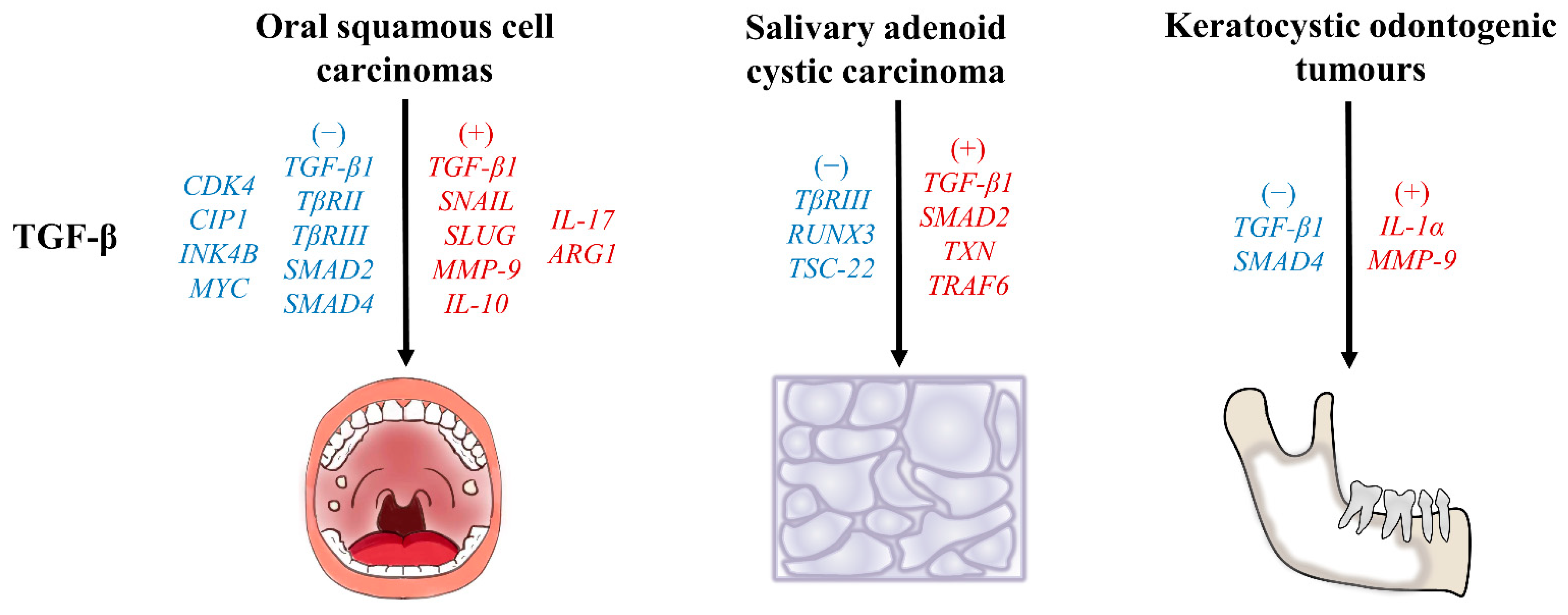 Ijms 24 10263 g003 Ijms 24 10263 g003