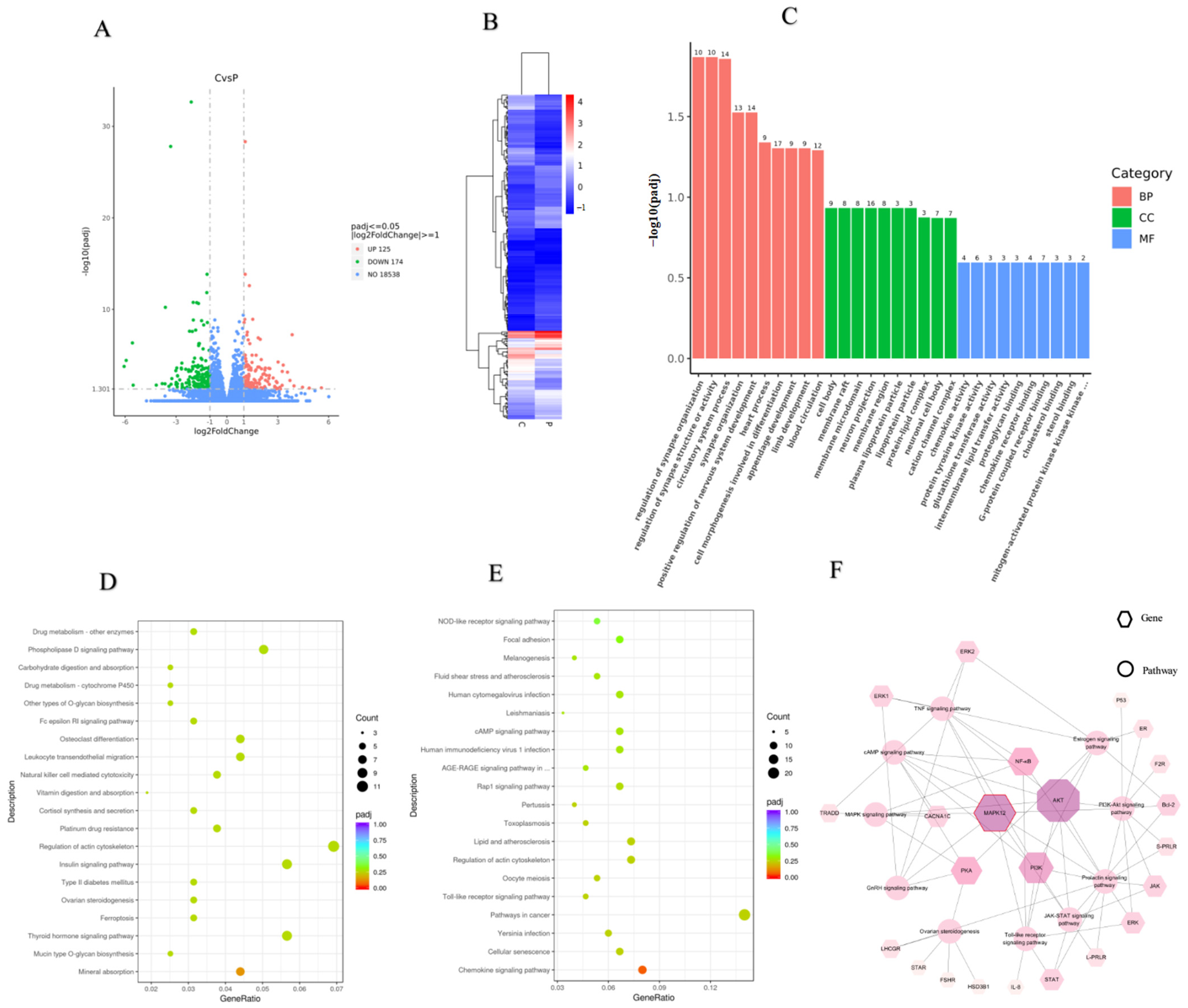 Ijms 24 10269 g004 Ijms 24 10269 g004