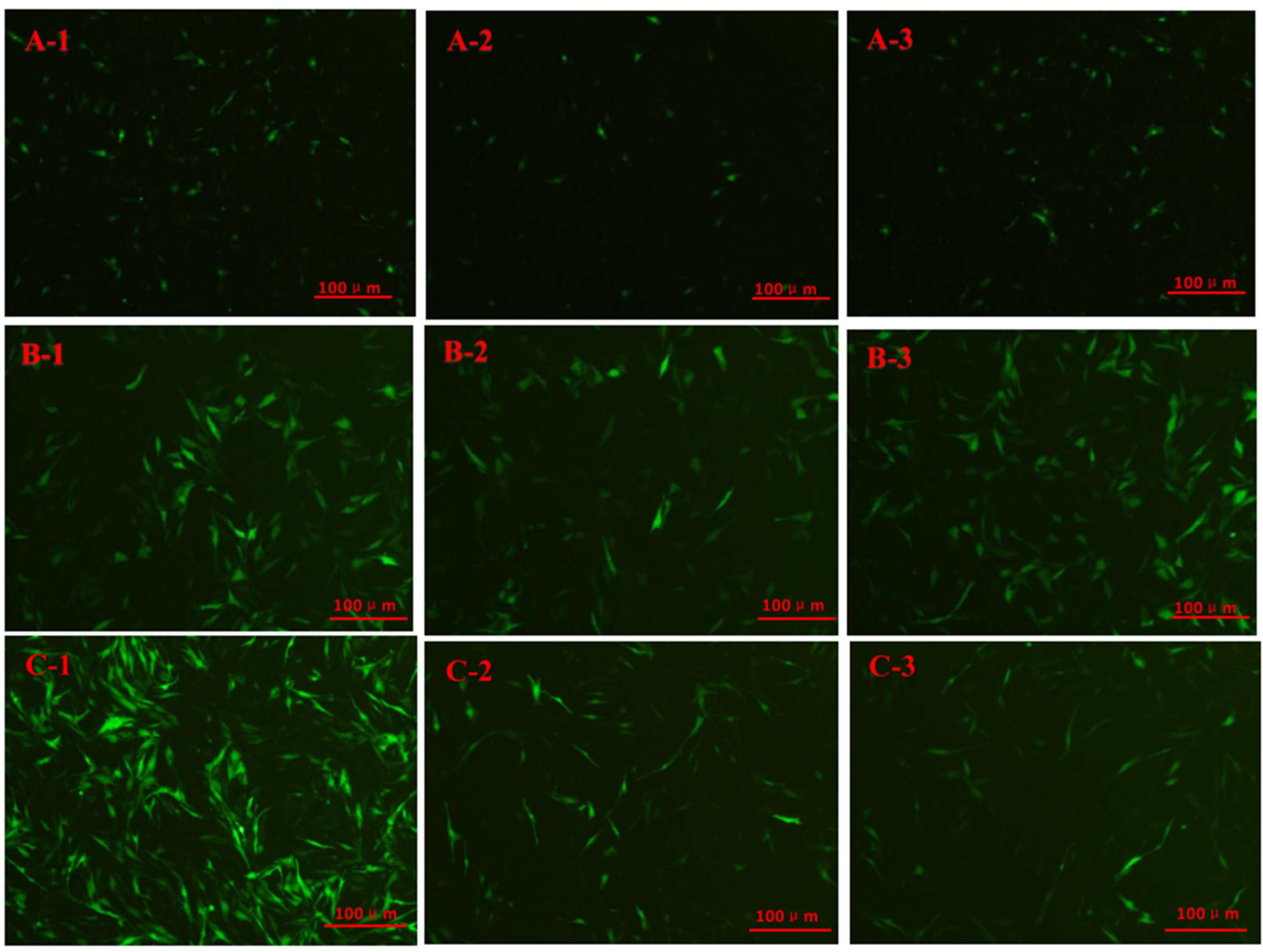 Ijms 24 10269 g006 Ijms 24 10269 g006