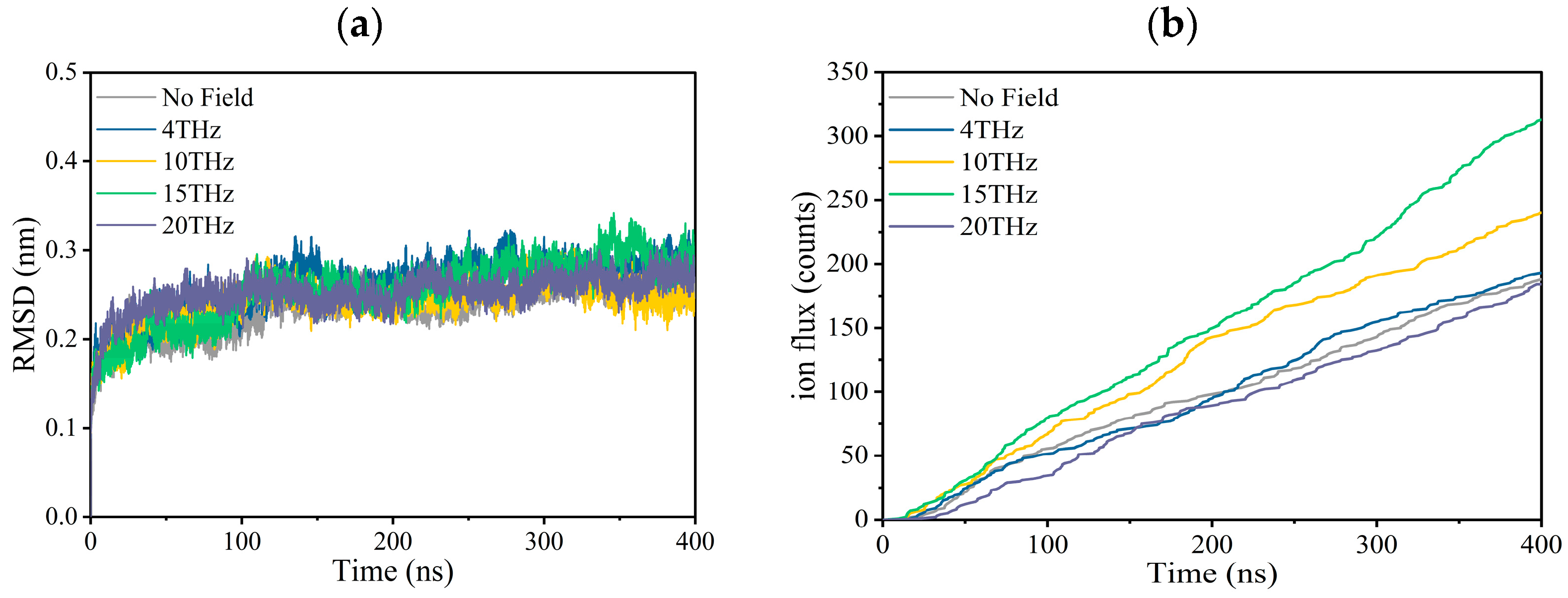 Electric field correlation measurements on the