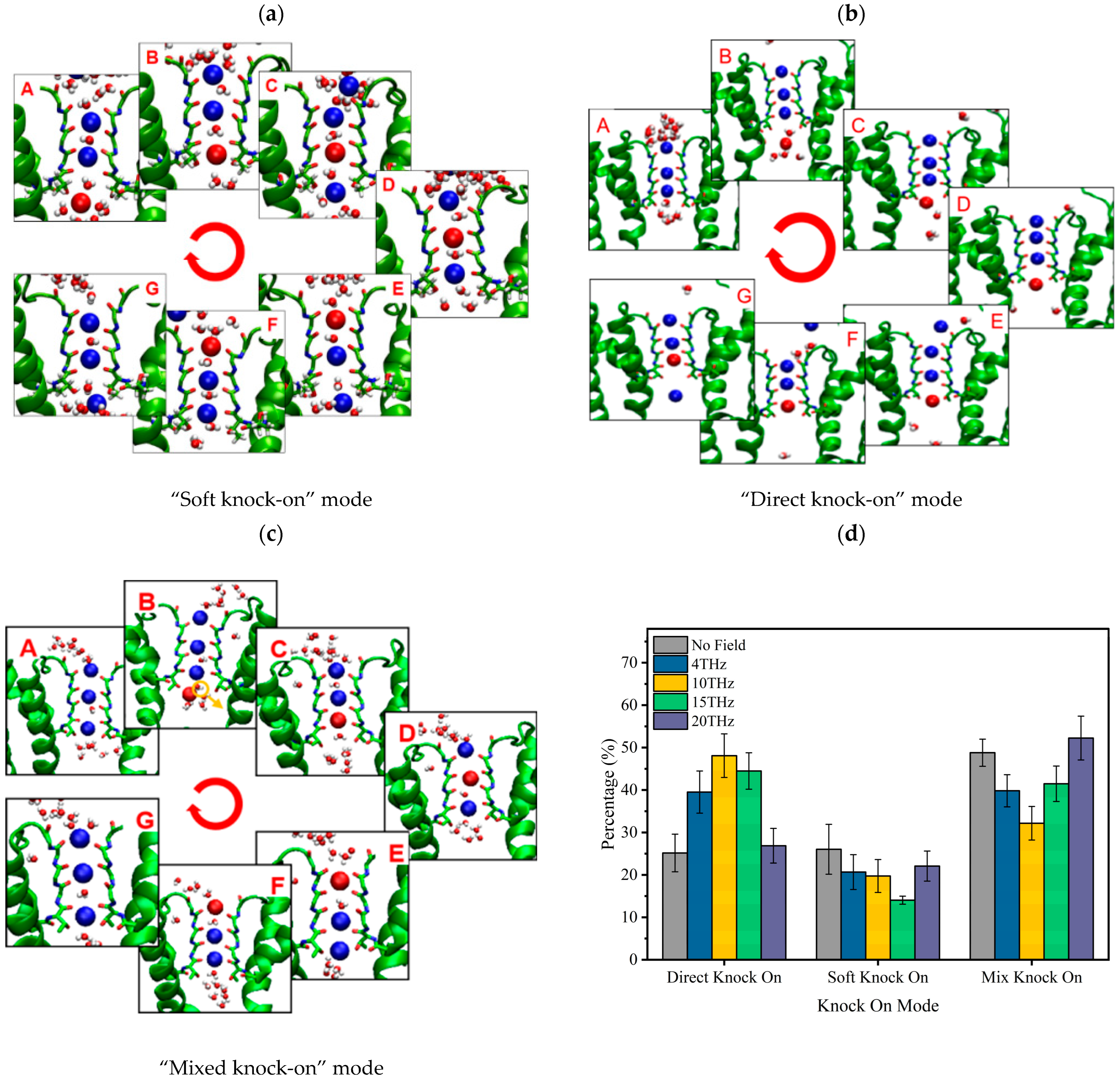 Ijms 24 10271 g004 Ijms 24 10271 g004