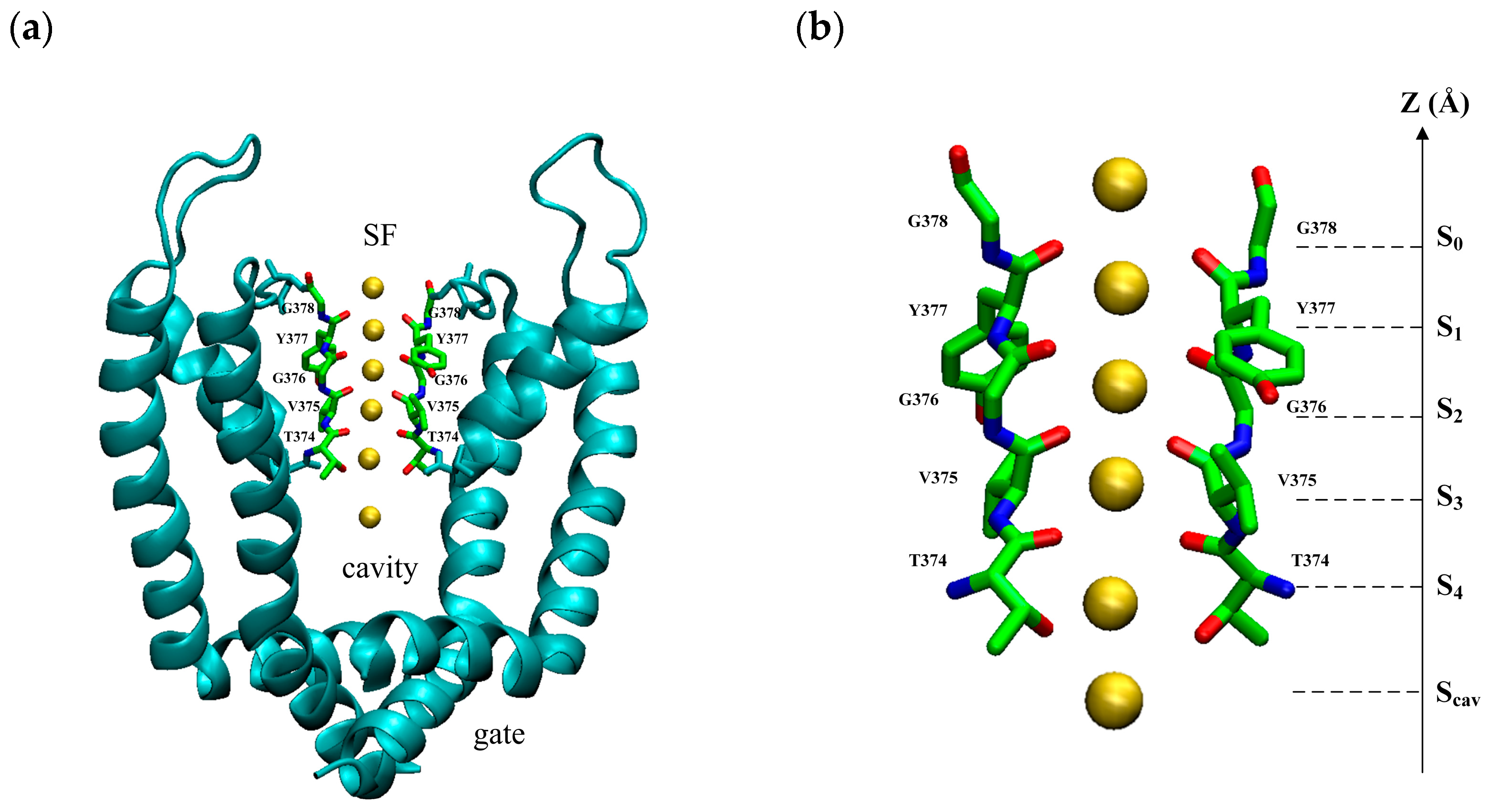 Ijms 24 10271 g008 Ijms 24 10271 g008