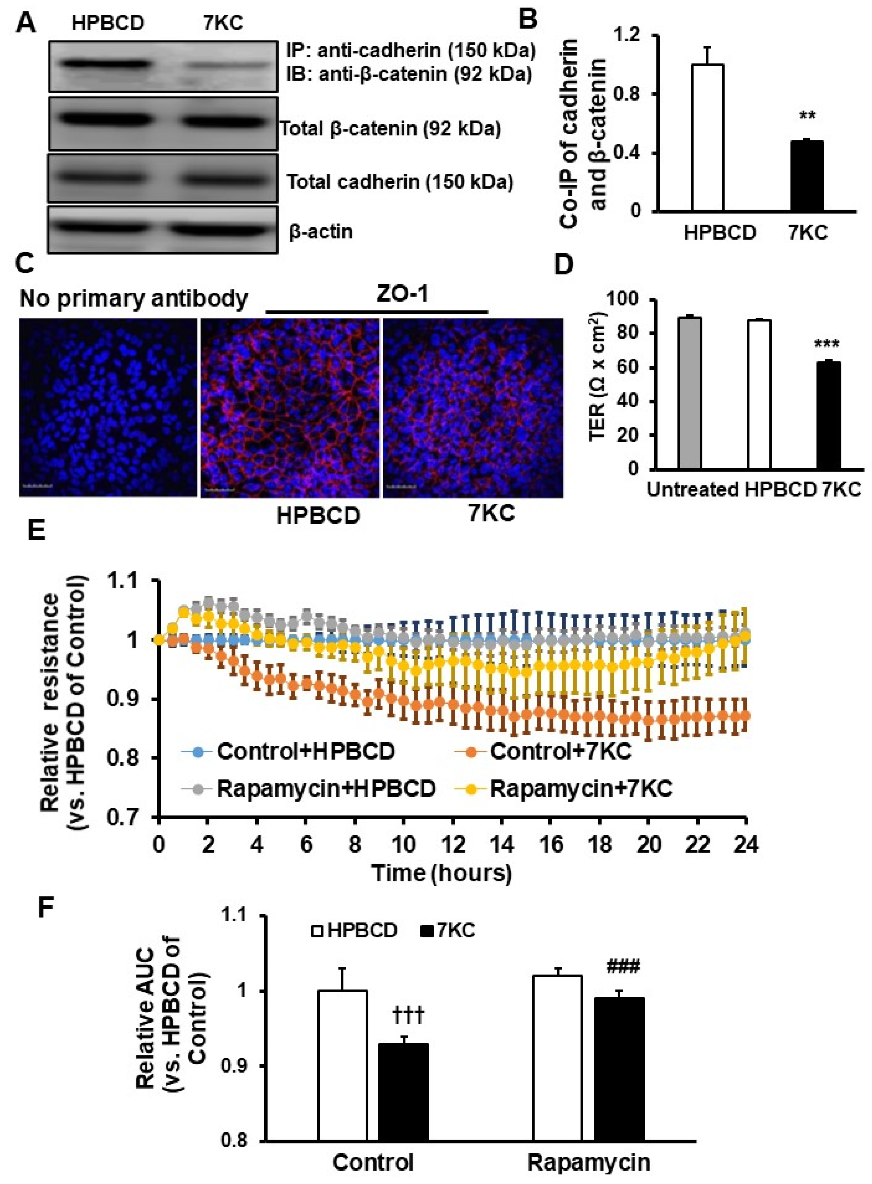Ijms 24 10276 g004 Ijms 24 10276 g004