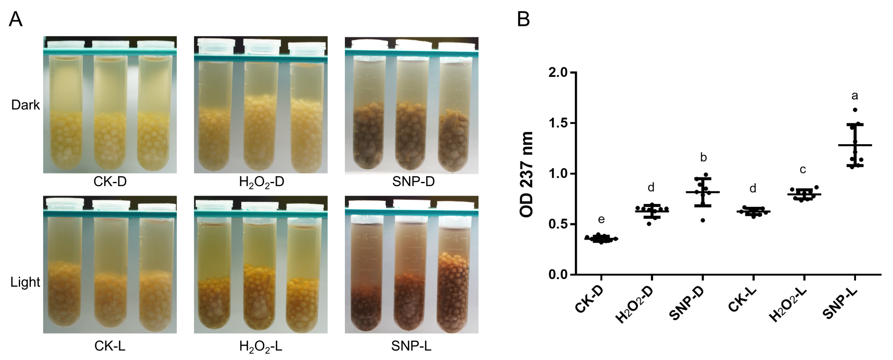 Ijms 24 10282 g001 Ijms 24 10282 g001