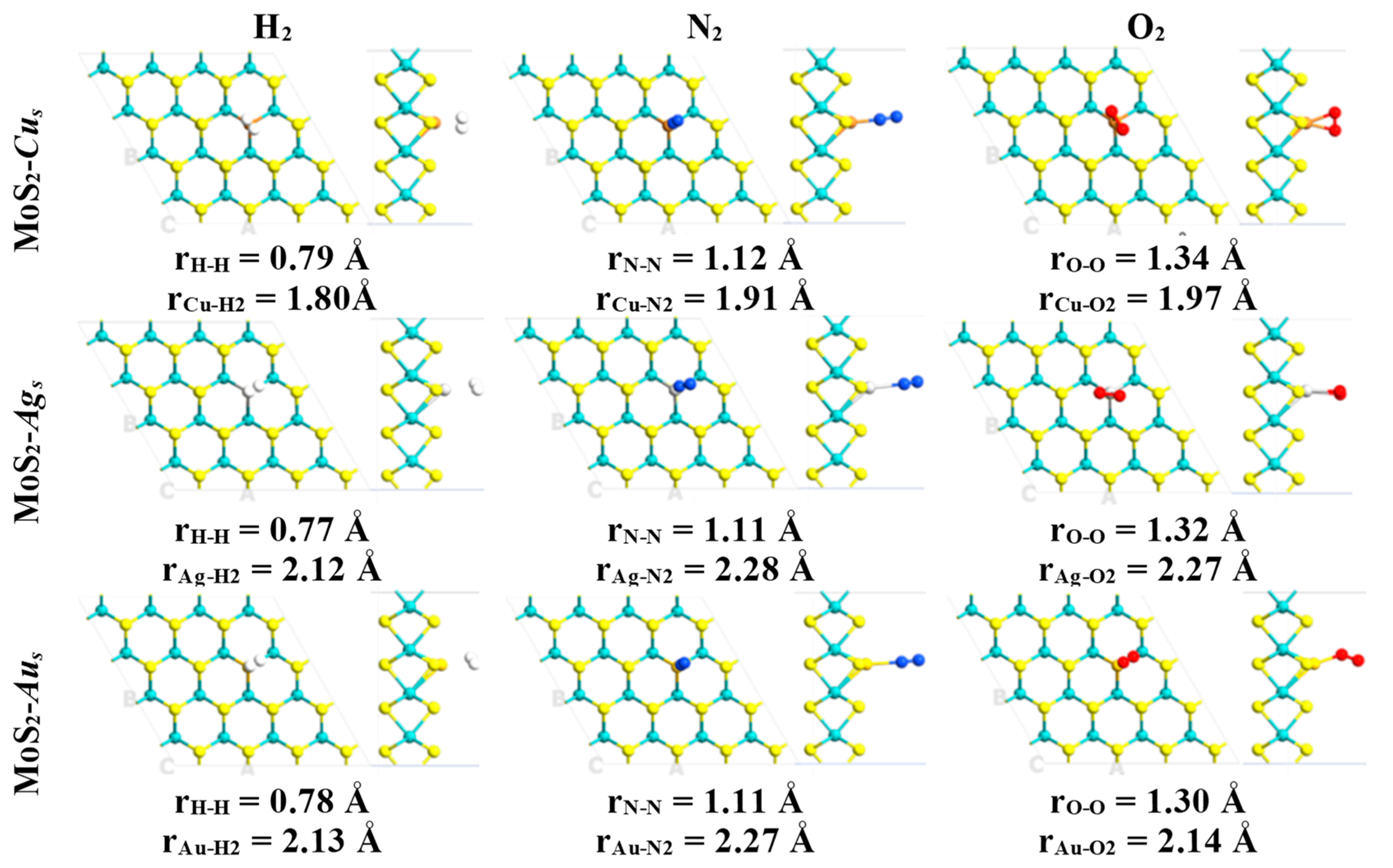 Ijms 24 10284 g001 Ijms 24 10284 g001