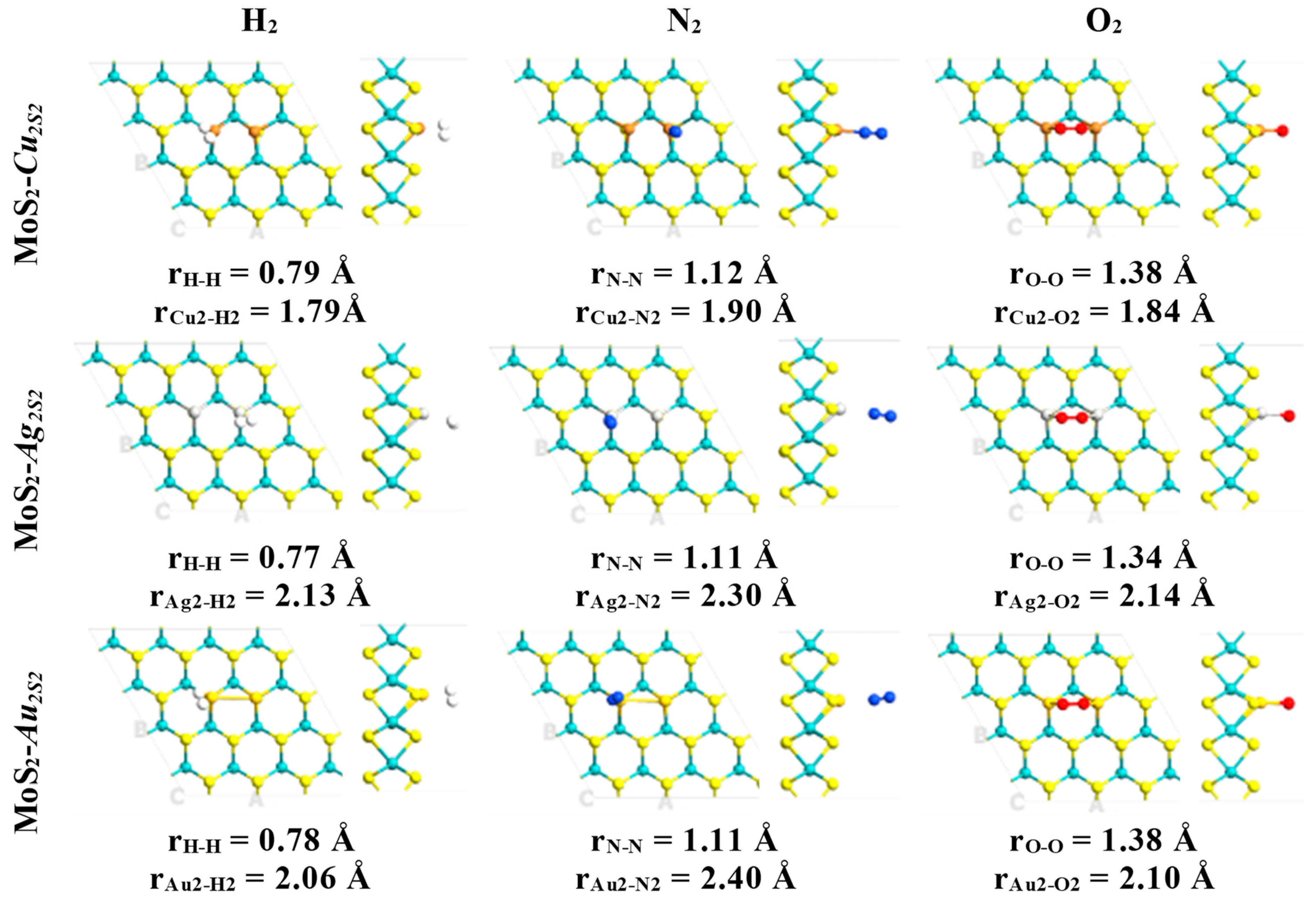 Ijms 24 10284 g005 Ijms 24 10284 g005