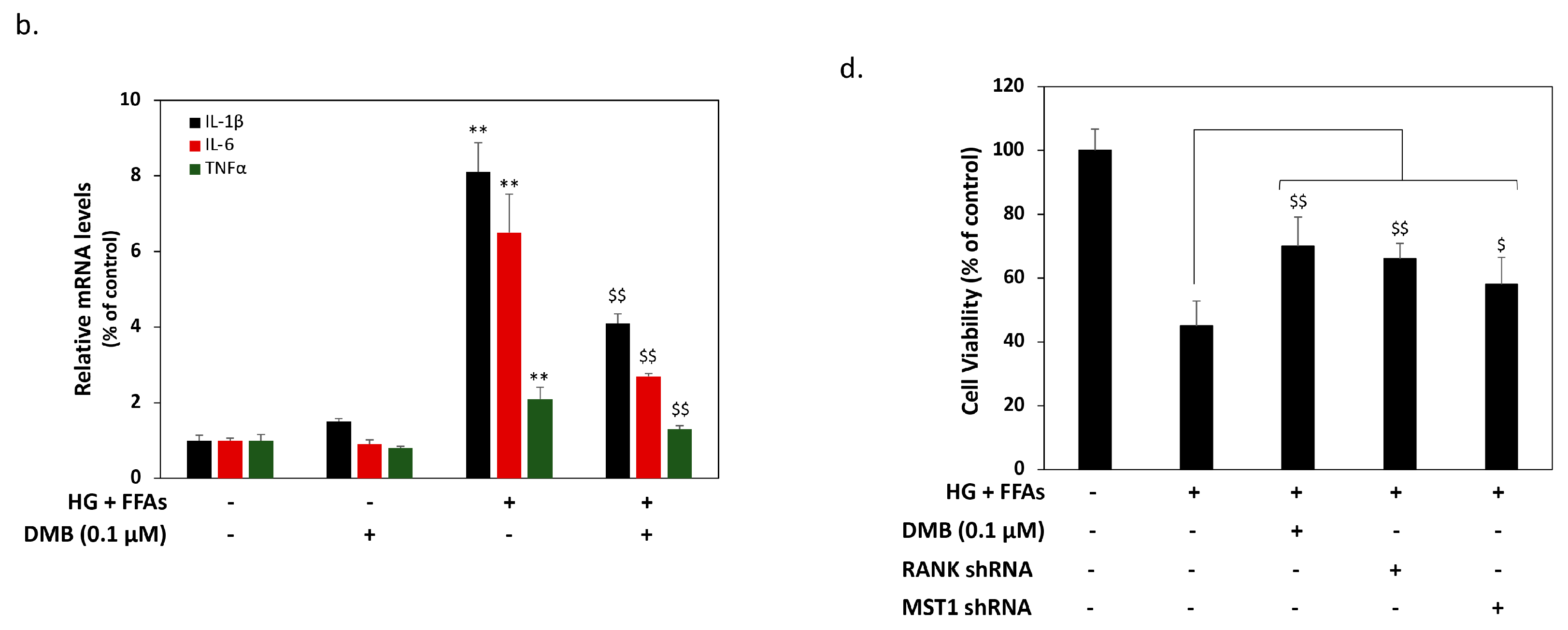 Ijms 24 10289 g003b Ijms 24 10289 g003b