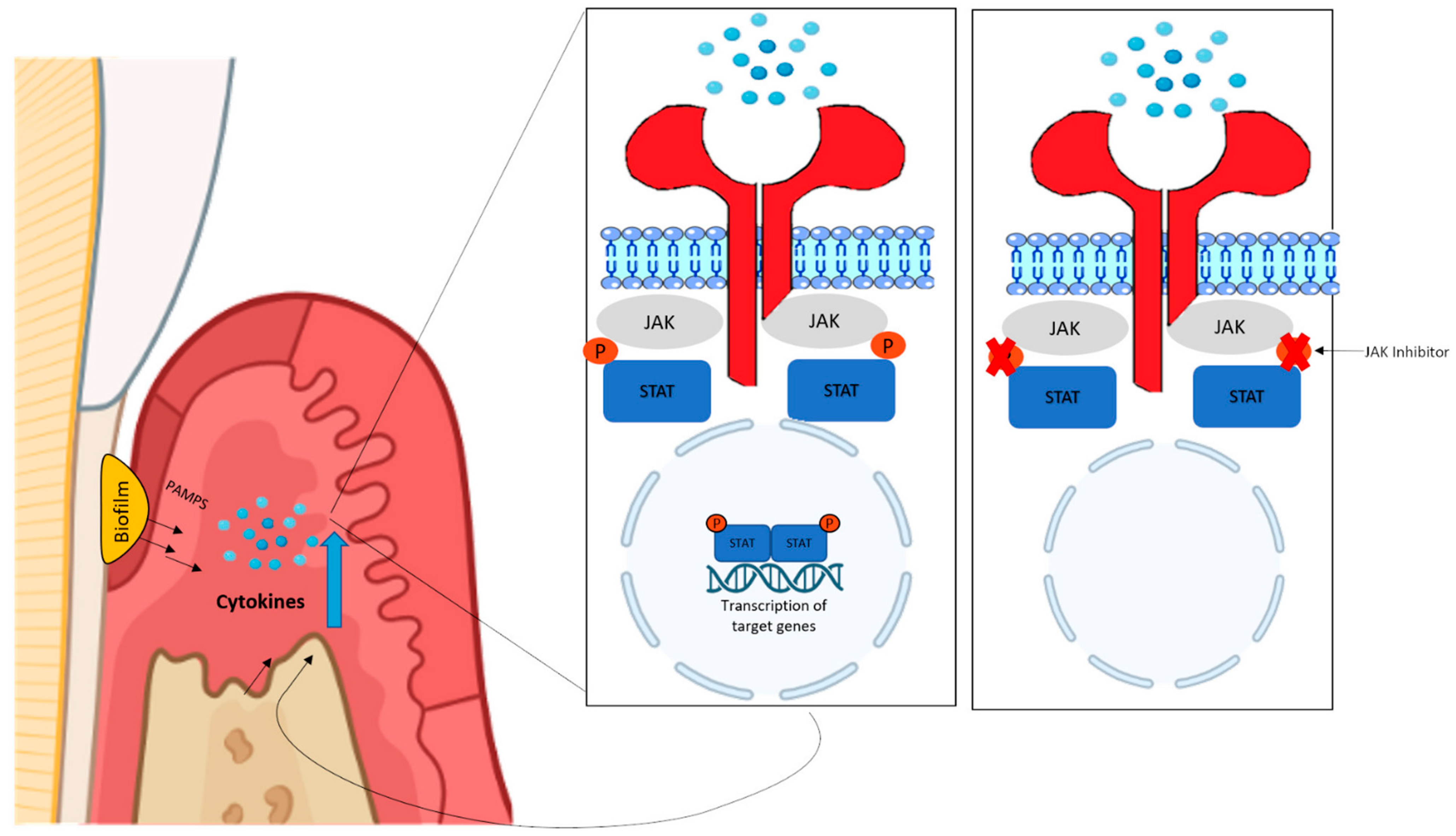Ijms 24 10290 g002 Ijms 24 10290 g002