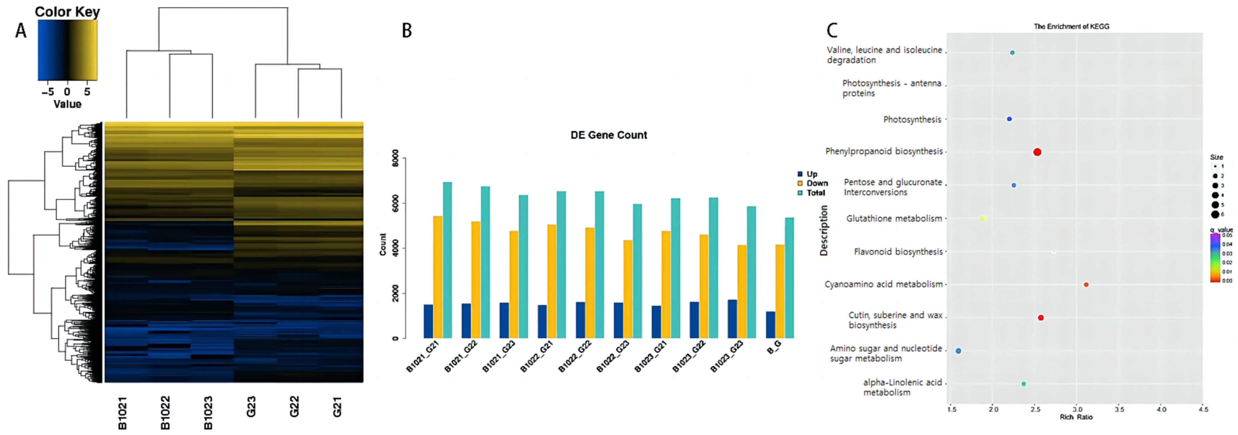 Ijms 24 10303 g001 Ijms 24 10303 g001