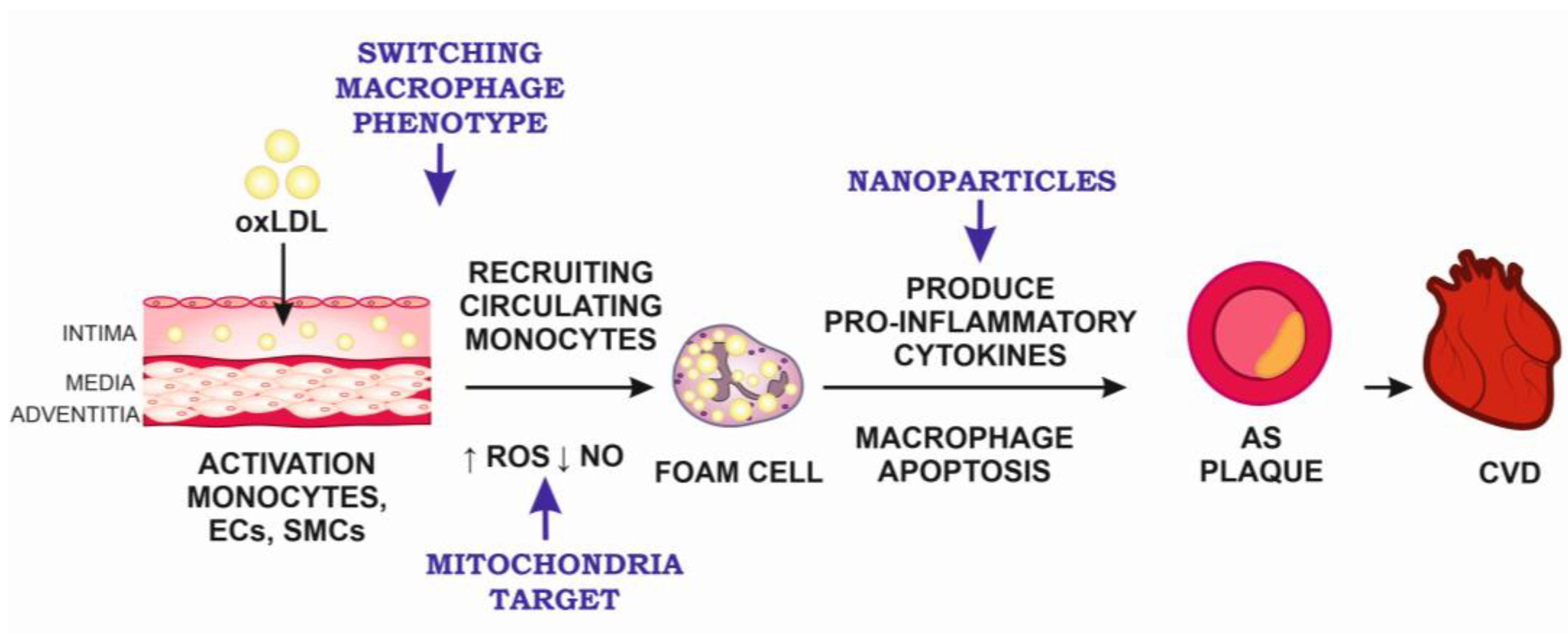 IJMS Free Full Text Target And Cell Therapy For Atherosclerosis And CVD ijms-free-full-text-target-and-cell-therapy-for-atherosclerosis-and-cvd
