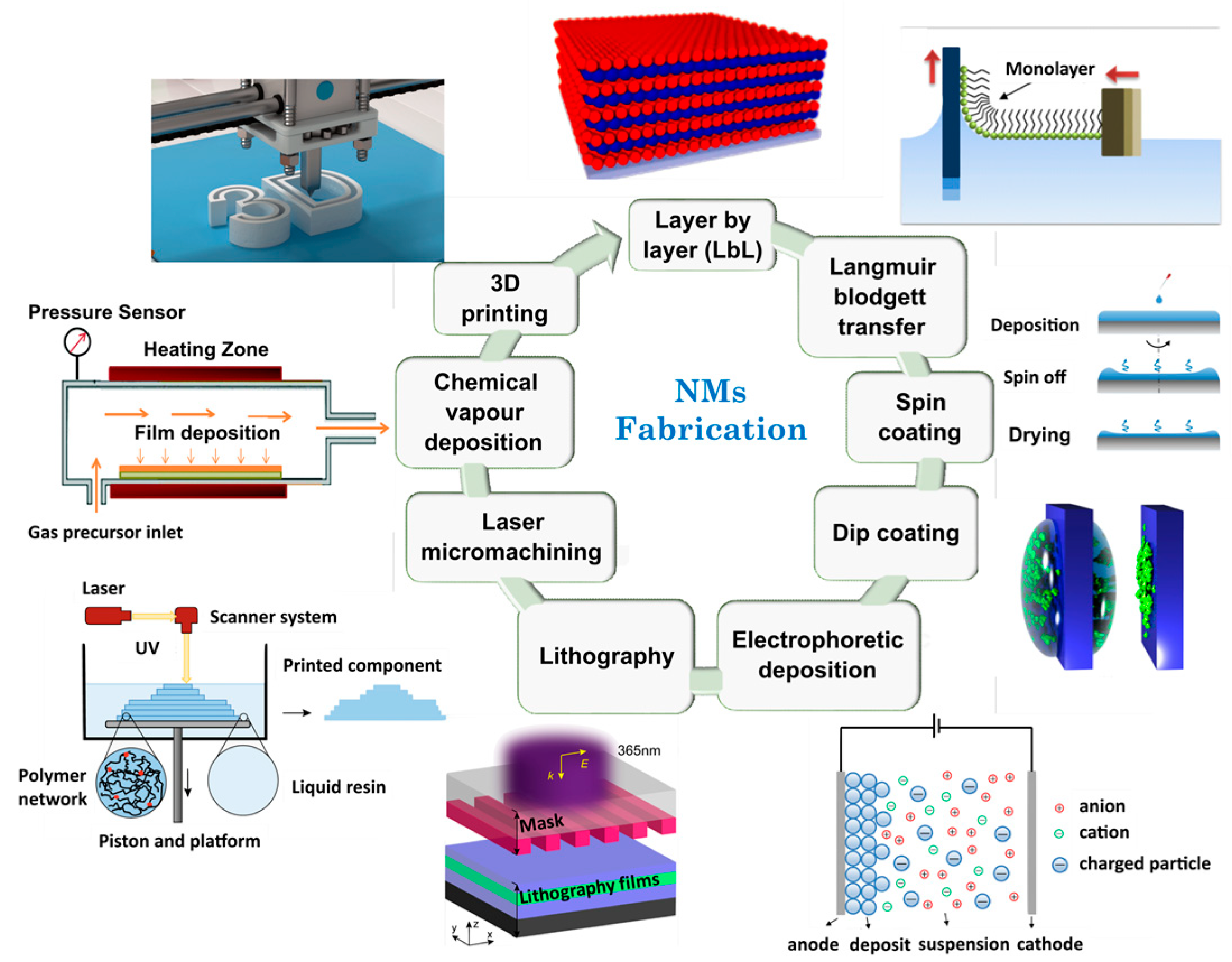 Ijms 24 10312 g001 Ijms 24 10312 g001