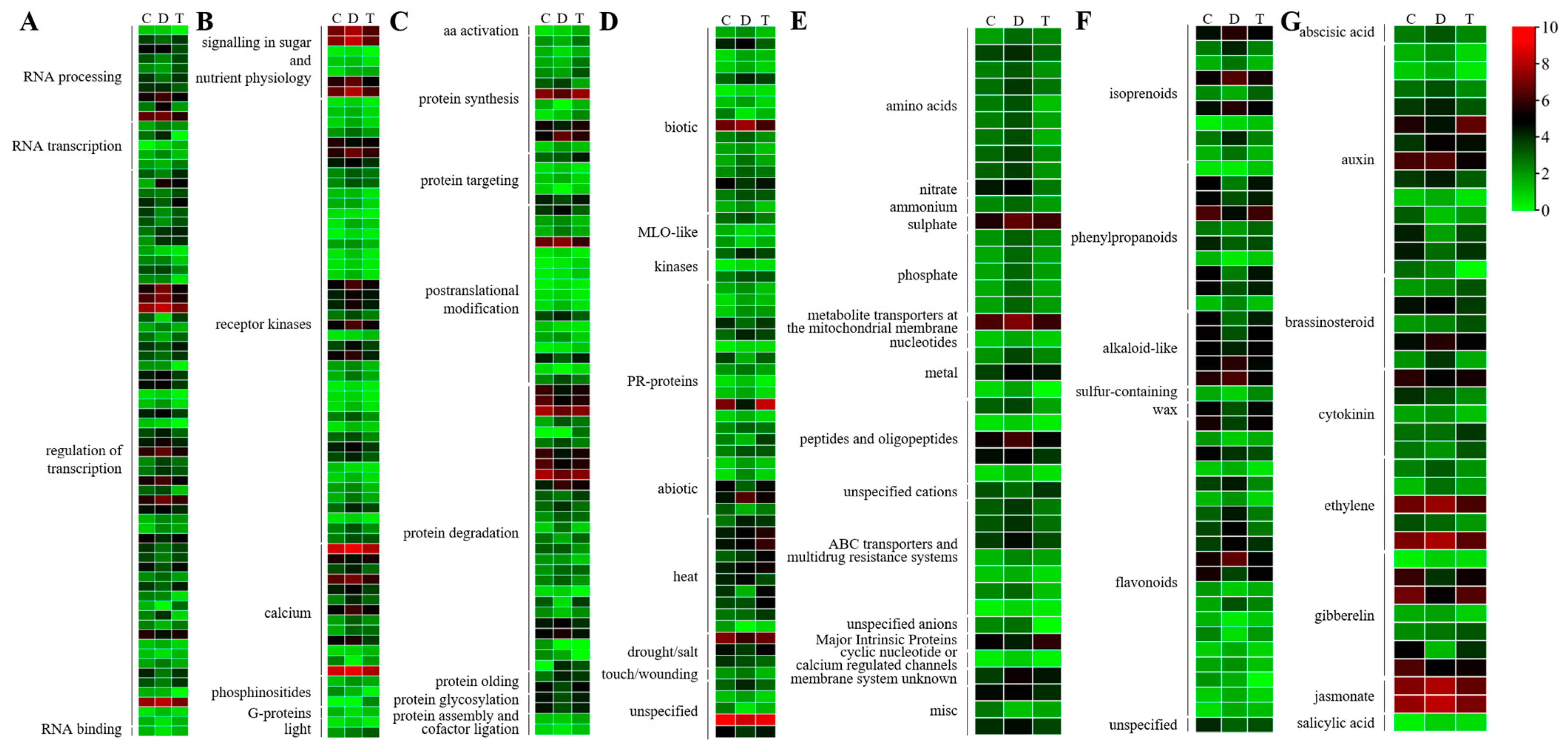 Ijms 24 10313 g003 Ijms 24 10313 g003