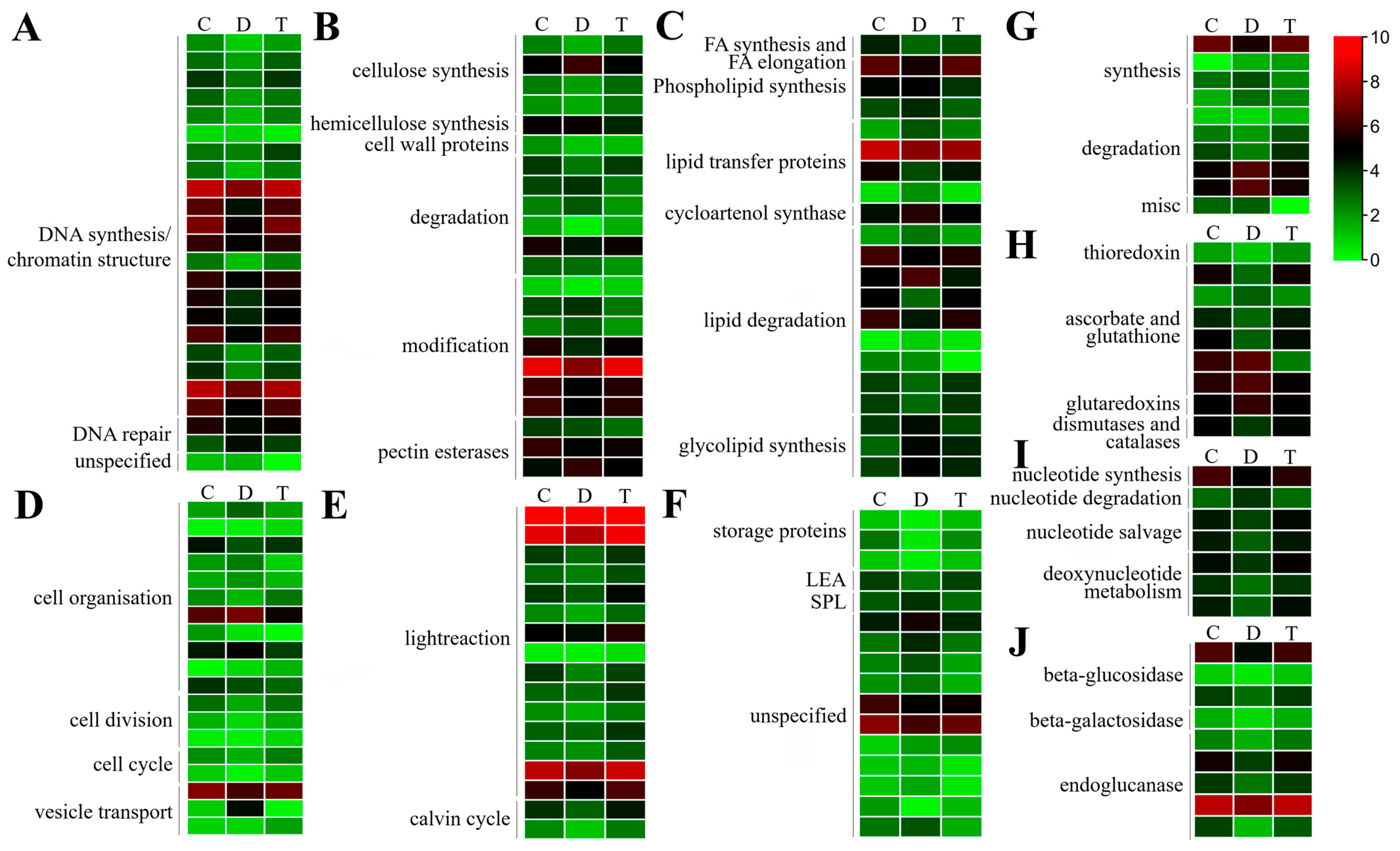 Ijms 24 10313 g004 Ijms 24 10313 g004