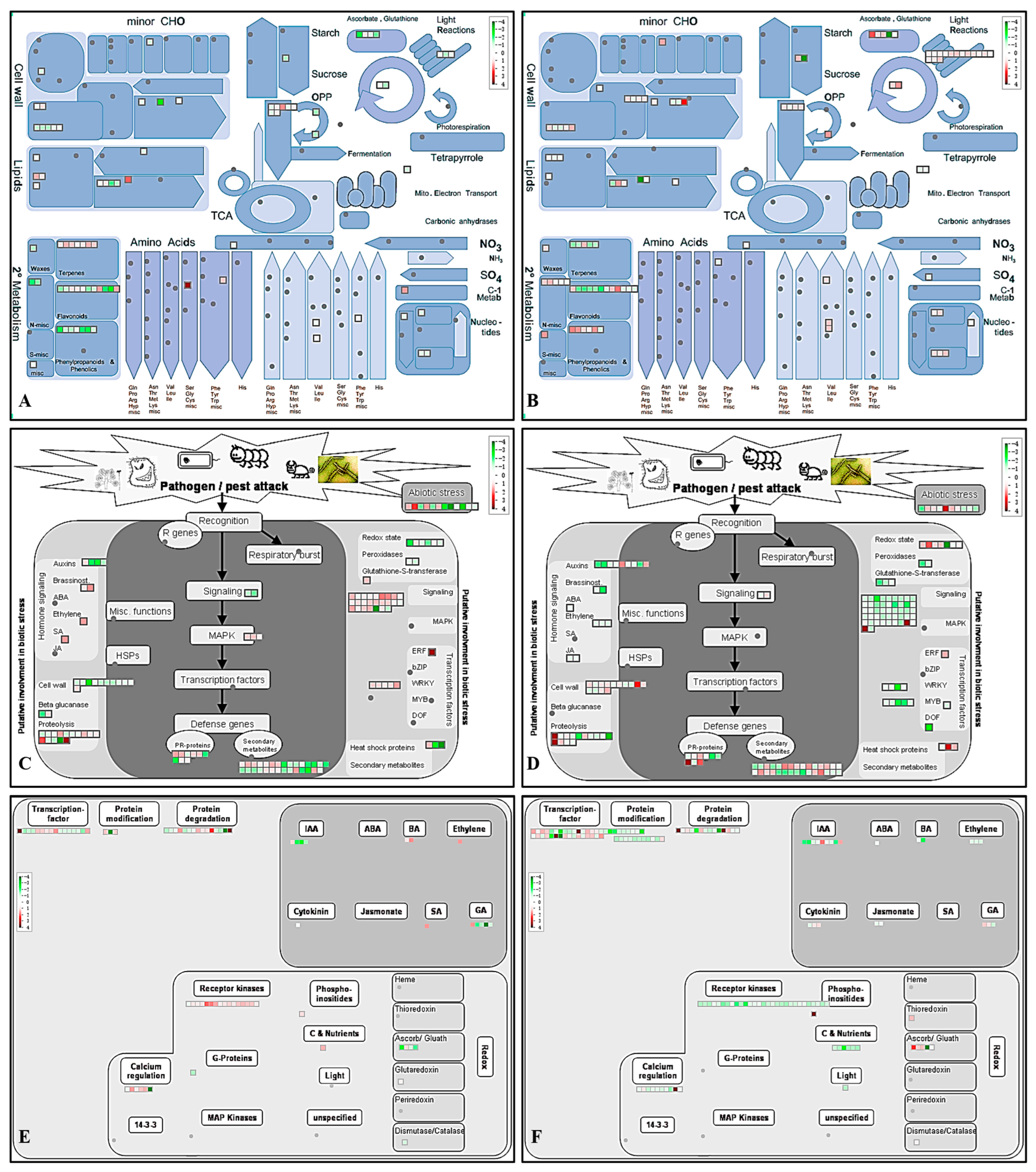 Ijms 24 10313 g006 Ijms 24 10313 g006