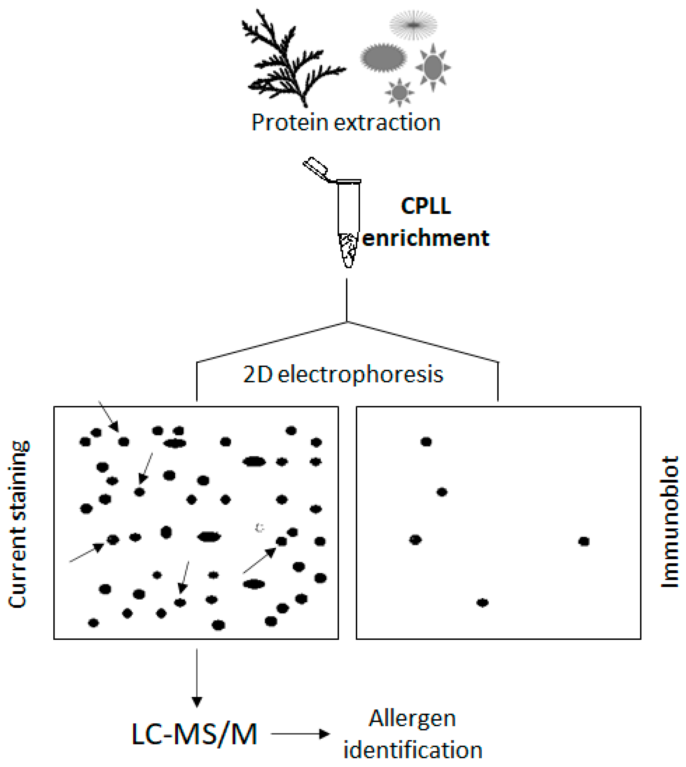 Ijms 24 10329 g005 Ijms 24 10329 g005