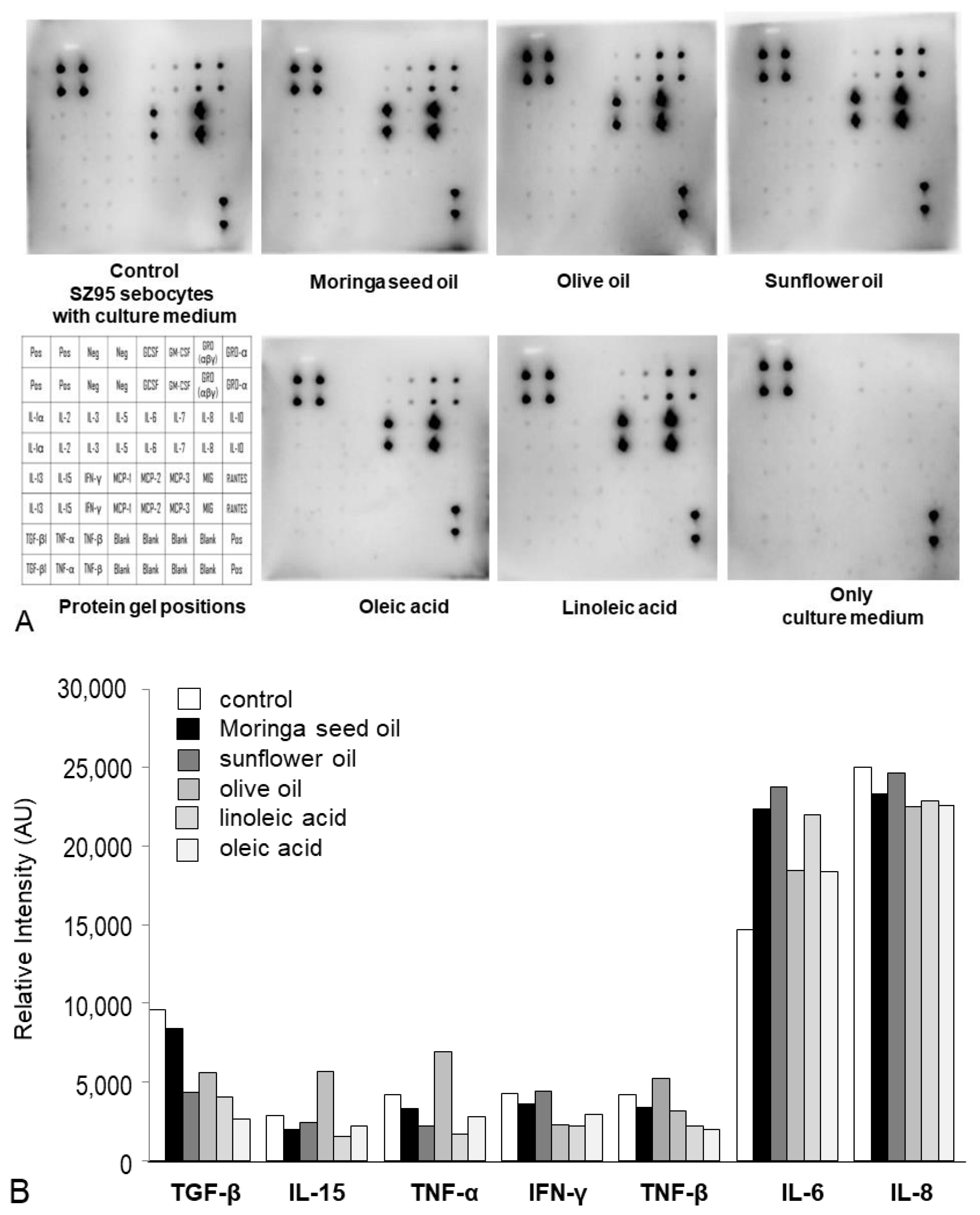 Ijms 24 10332 g003 Ijms 24 10332 g003