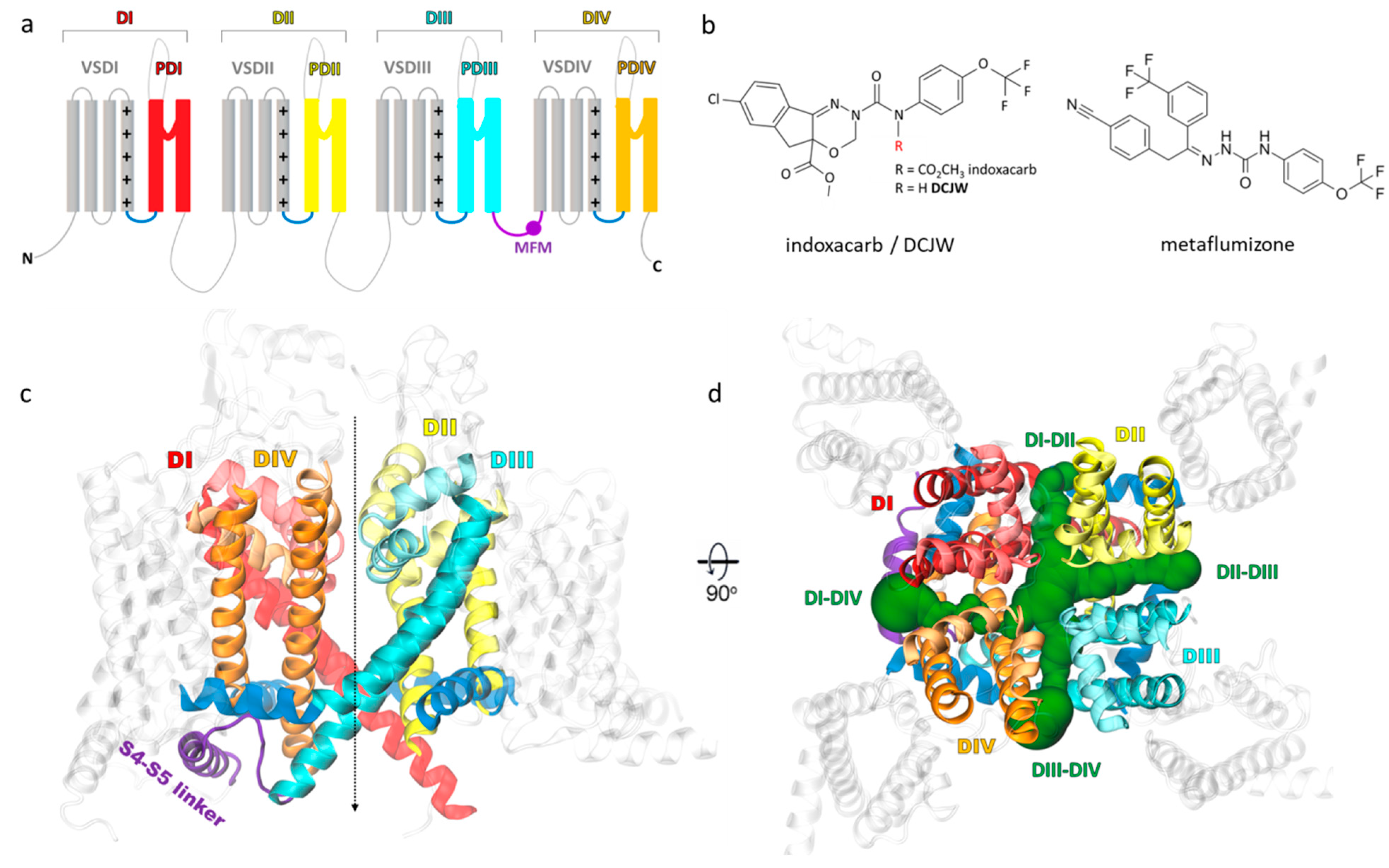 Ijms 24 10334 g001 Ijms 24 10334 g001
