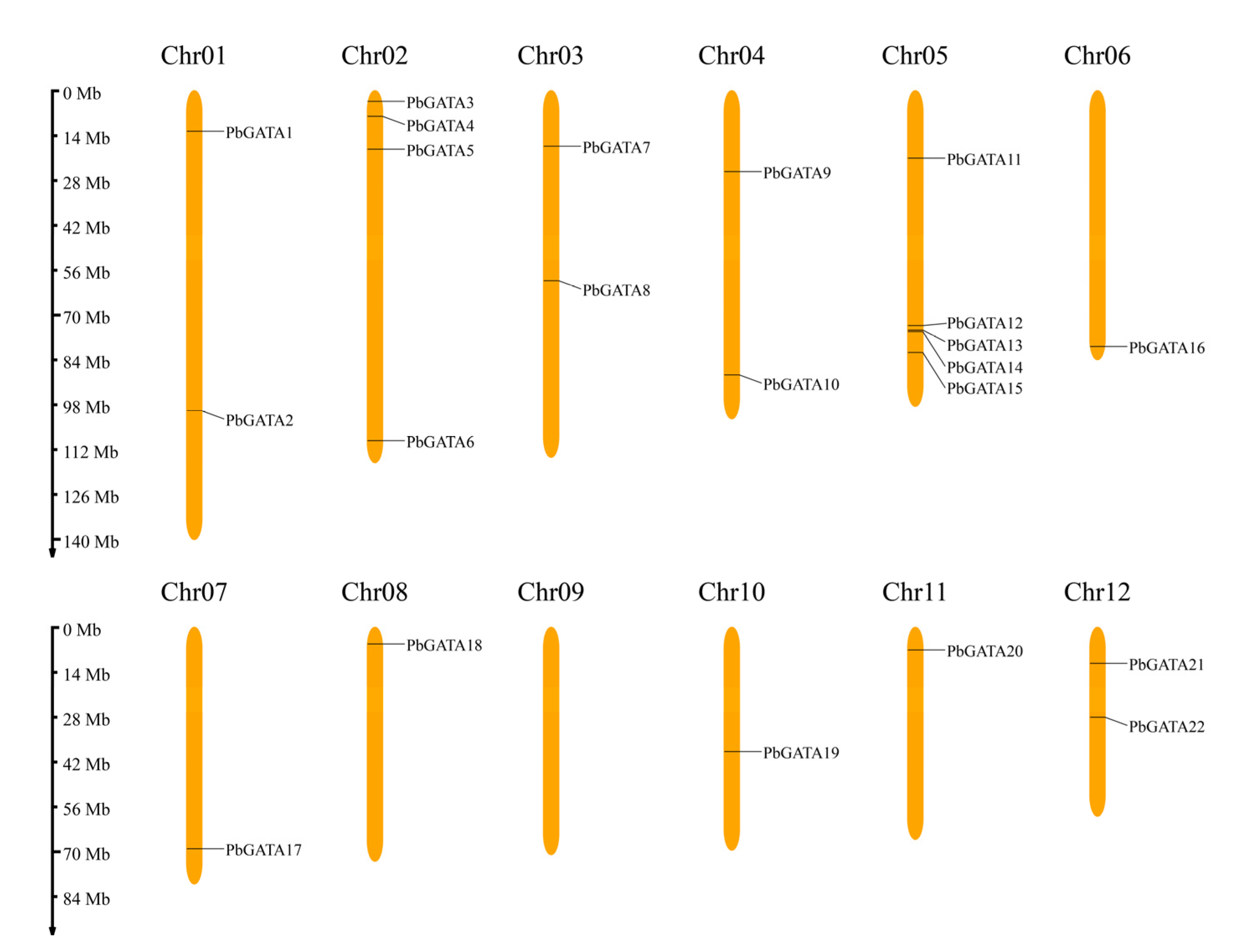 Ijms 24 10342 g001 Ijms 24 10342 g001