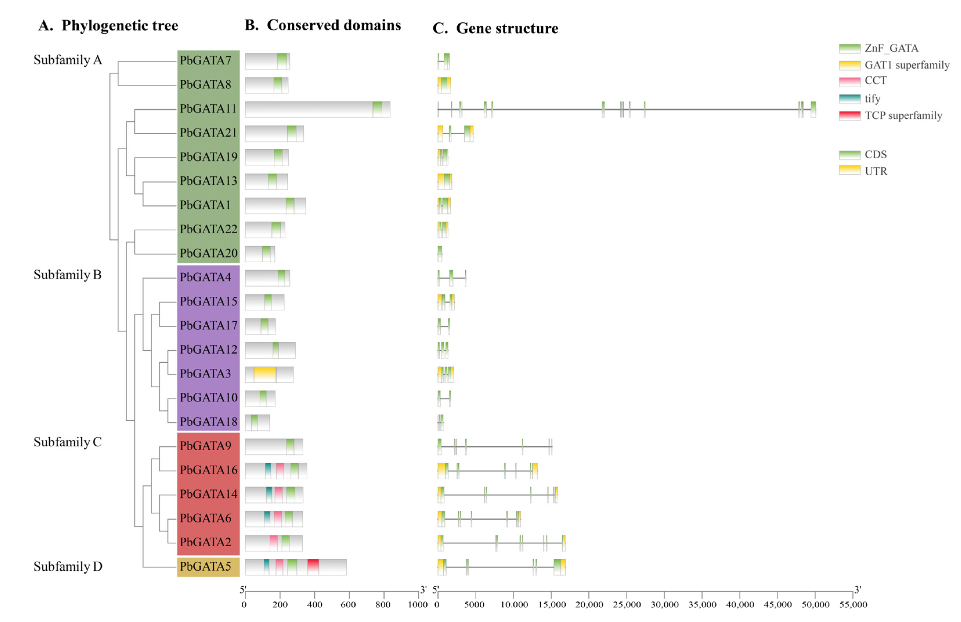 Ijms 24 10342 g004 Ijms 24 10342 g004