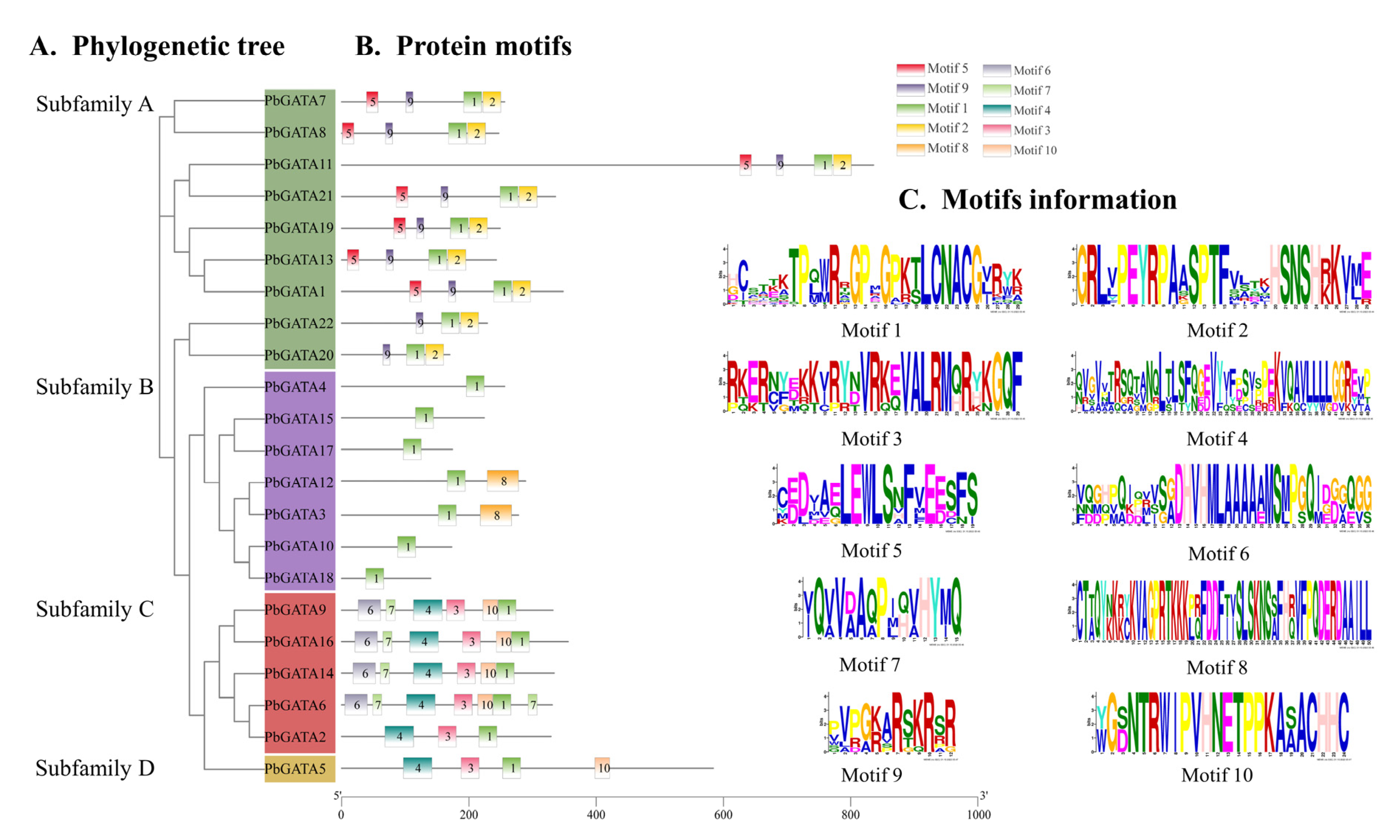 Ijms 24 10342 g005 Ijms 24 10342 g005