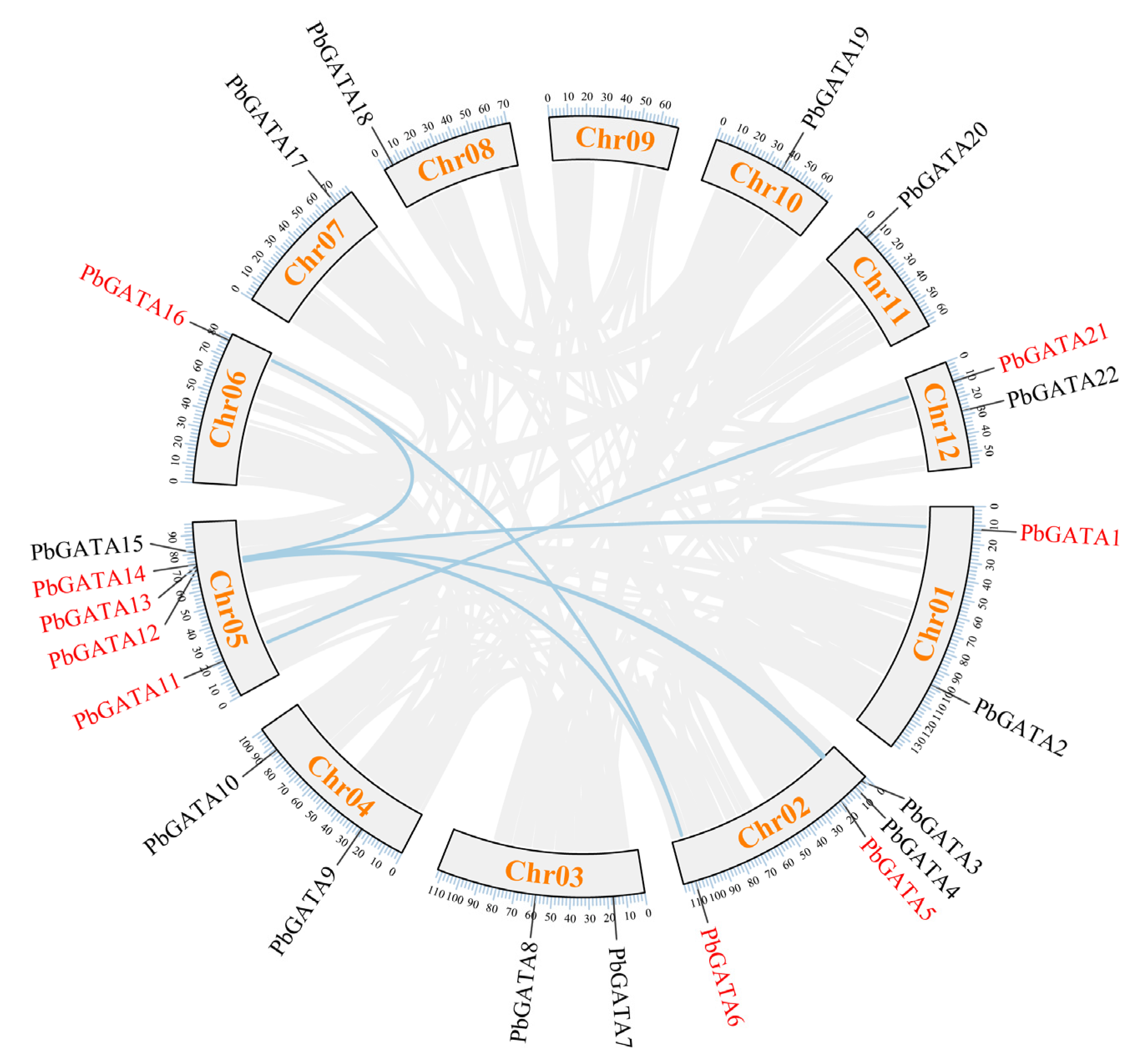 Ijms 24 10342 g007 Ijms 24 10342 g007