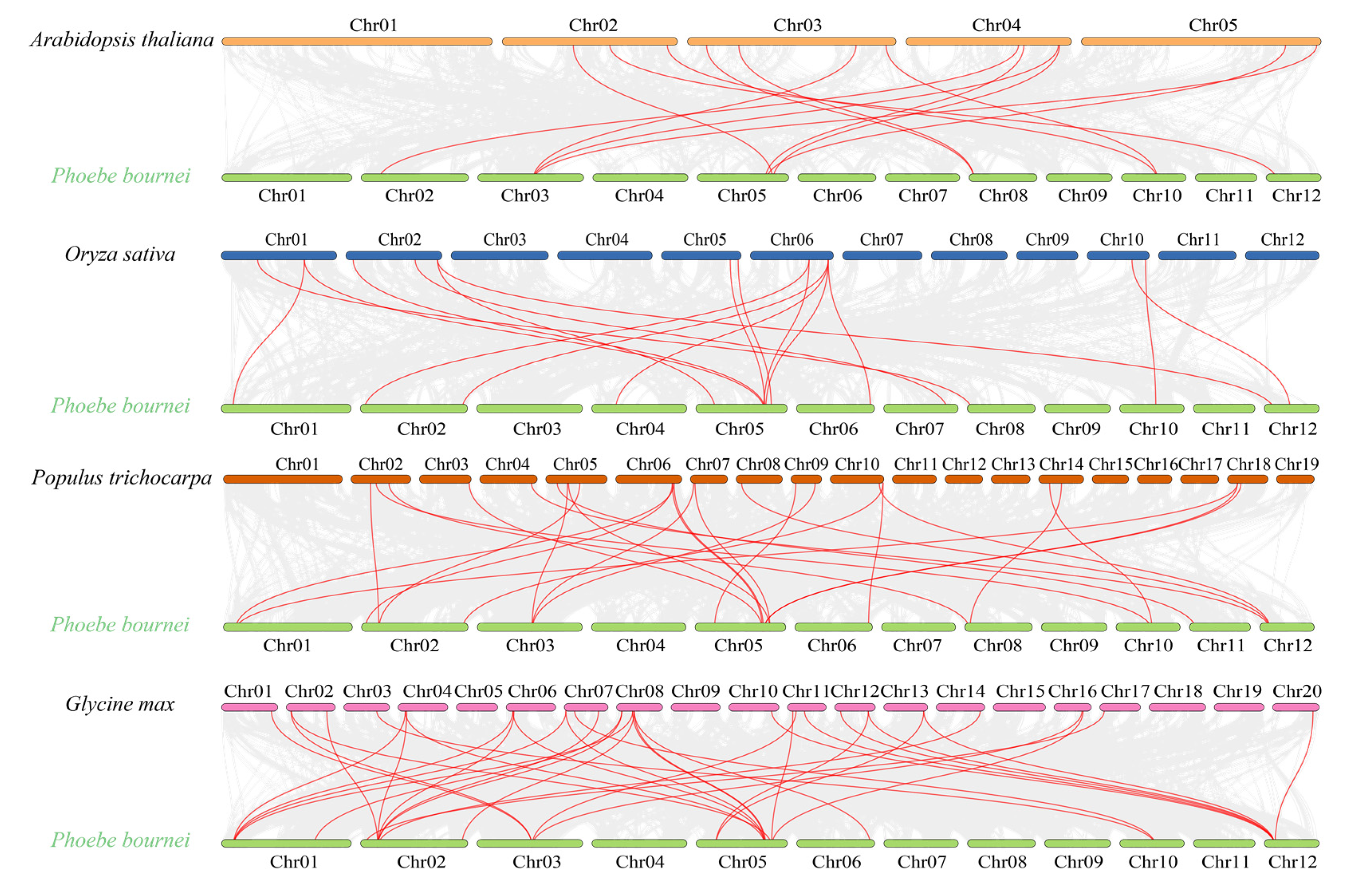 Ijms 24 10342 g008 Ijms 24 10342 g008