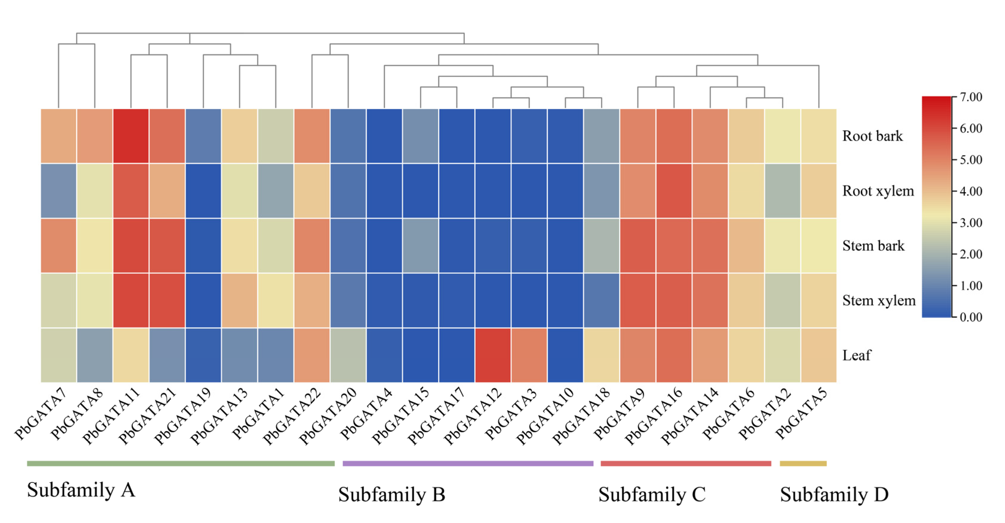 Ijms 24 10342 g009 Ijms 24 10342 g009