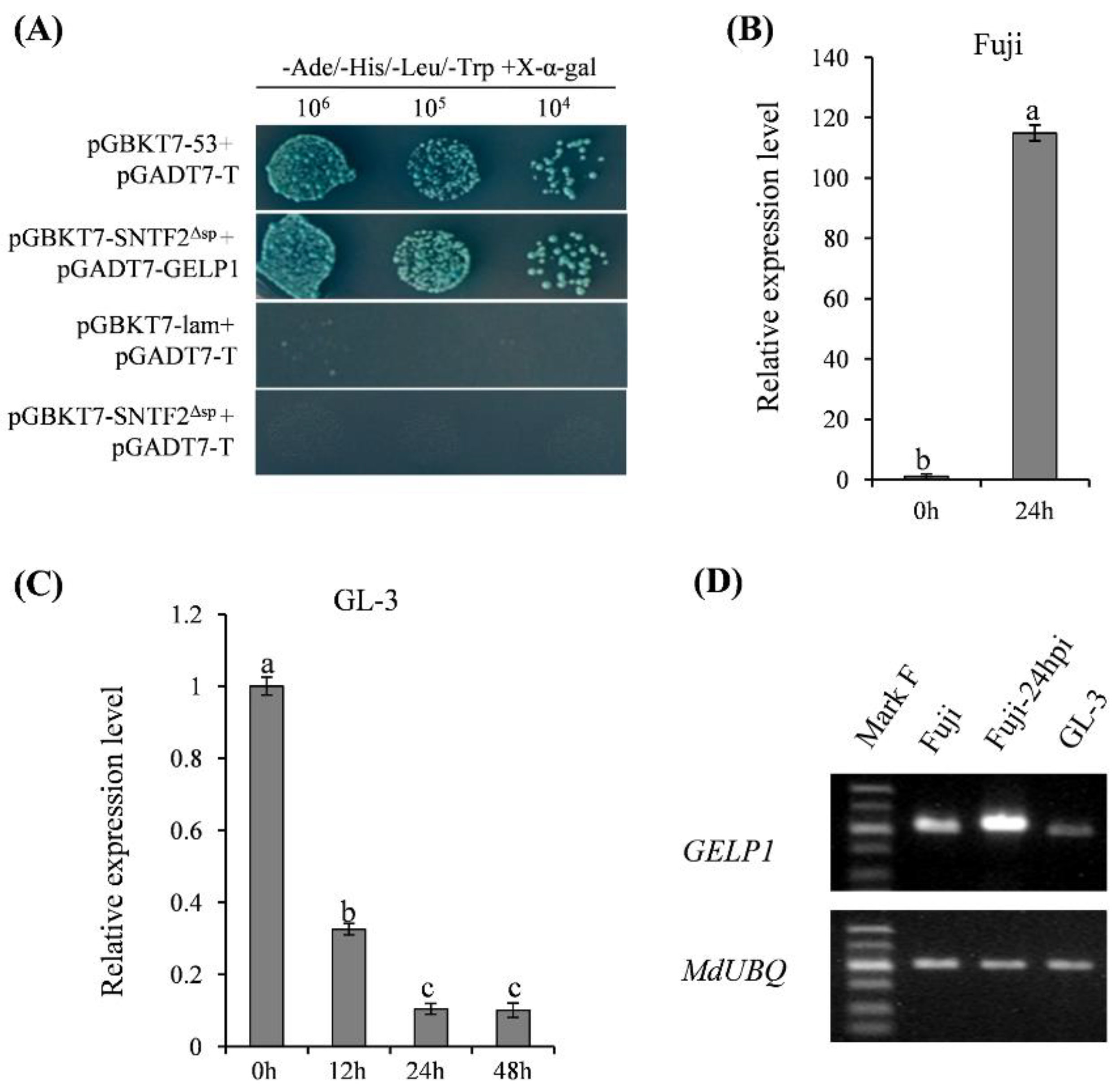 Ijms 24 10343 g002 Ijms 24 10343 g002
