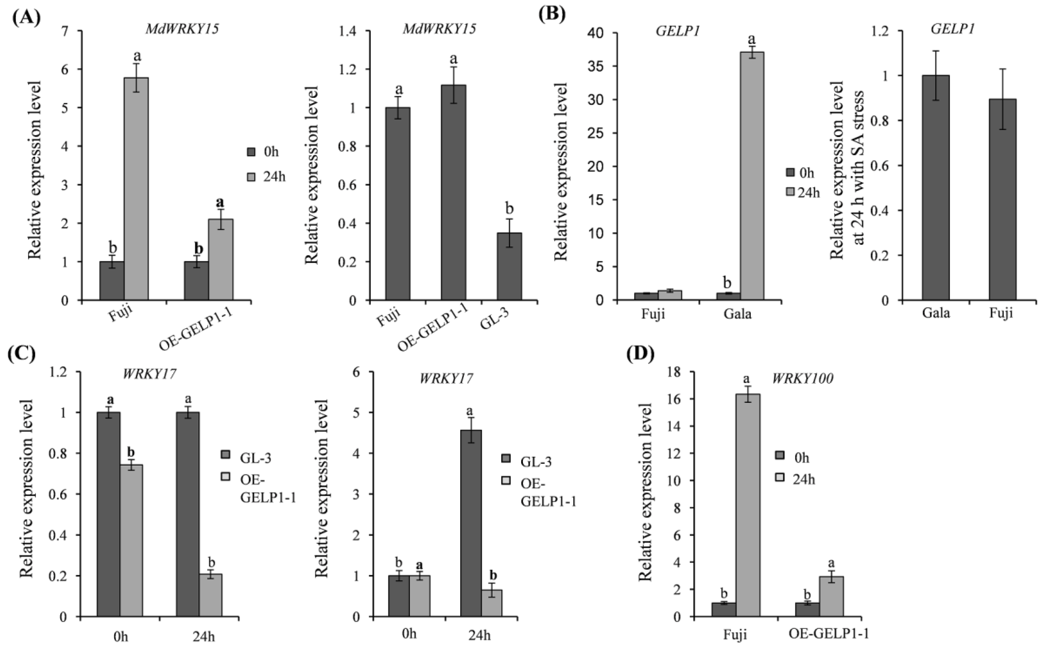 Ijms 24 10343 g007 Ijms 24 10343 g007