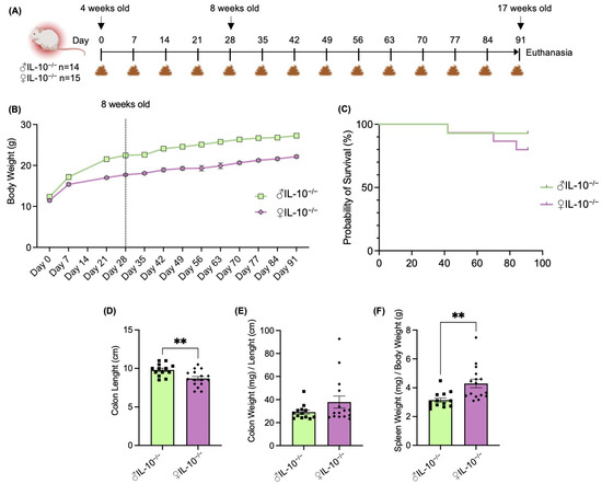 y、ライフ Frontiers | B Cells on the Stage of Inflammation in Juvenile