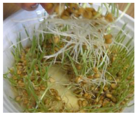 Ijms 24 10367 i002 Ijms 24 10367 i002