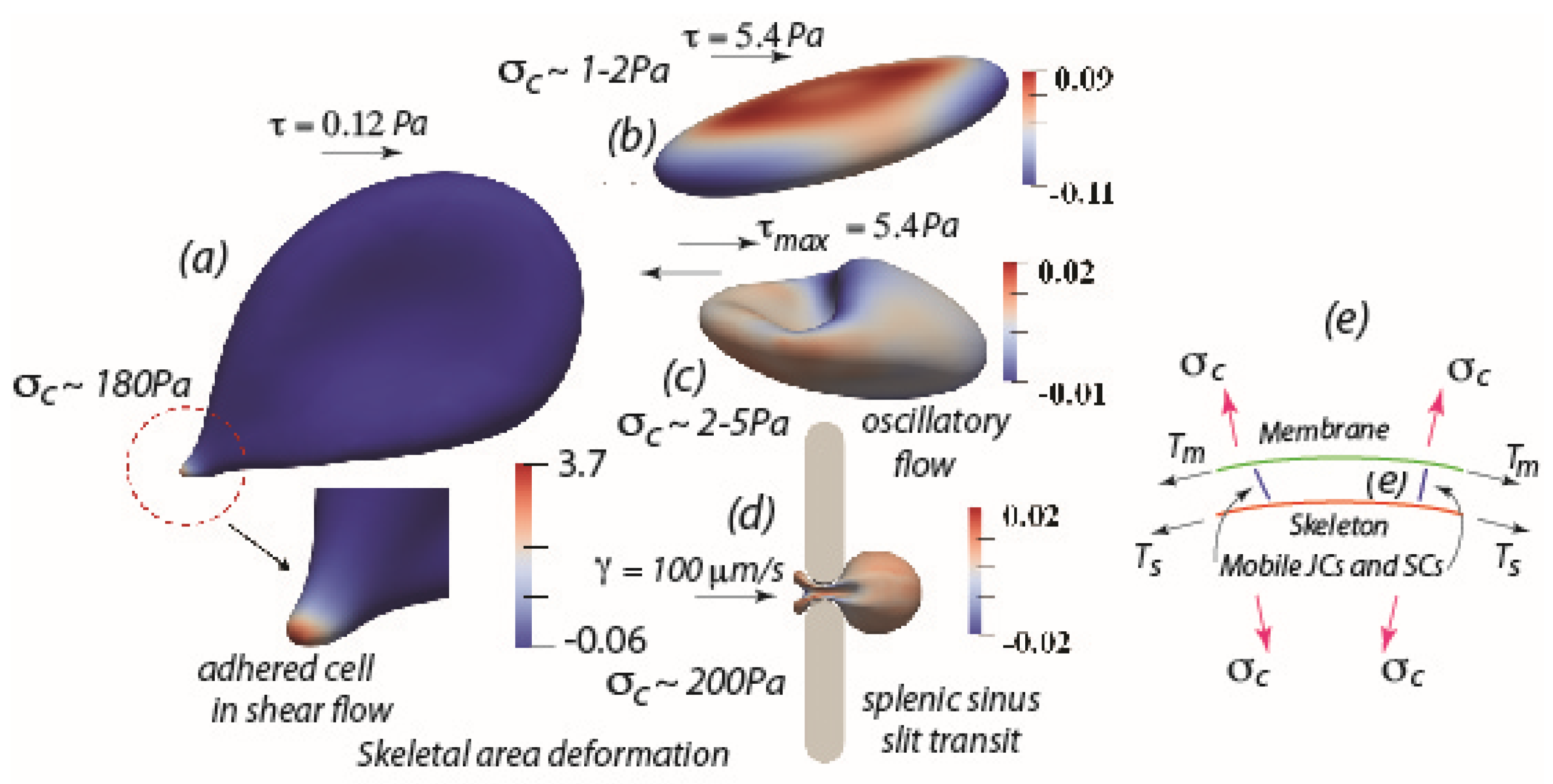 Ijms 24 10382 g001 Ijms 24 10382 g001