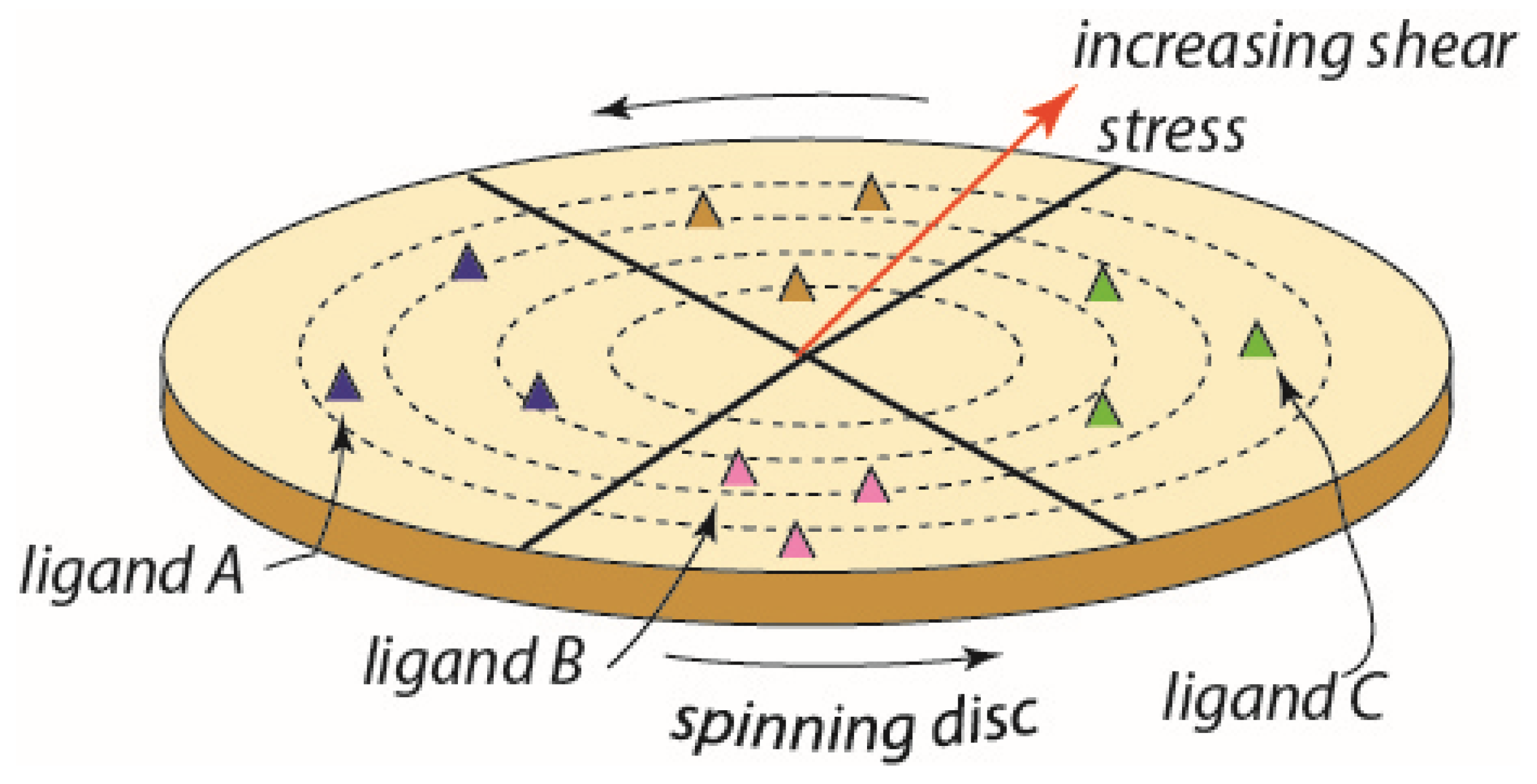 Ijms 24 10382 g004 Ijms 24 10382 g004